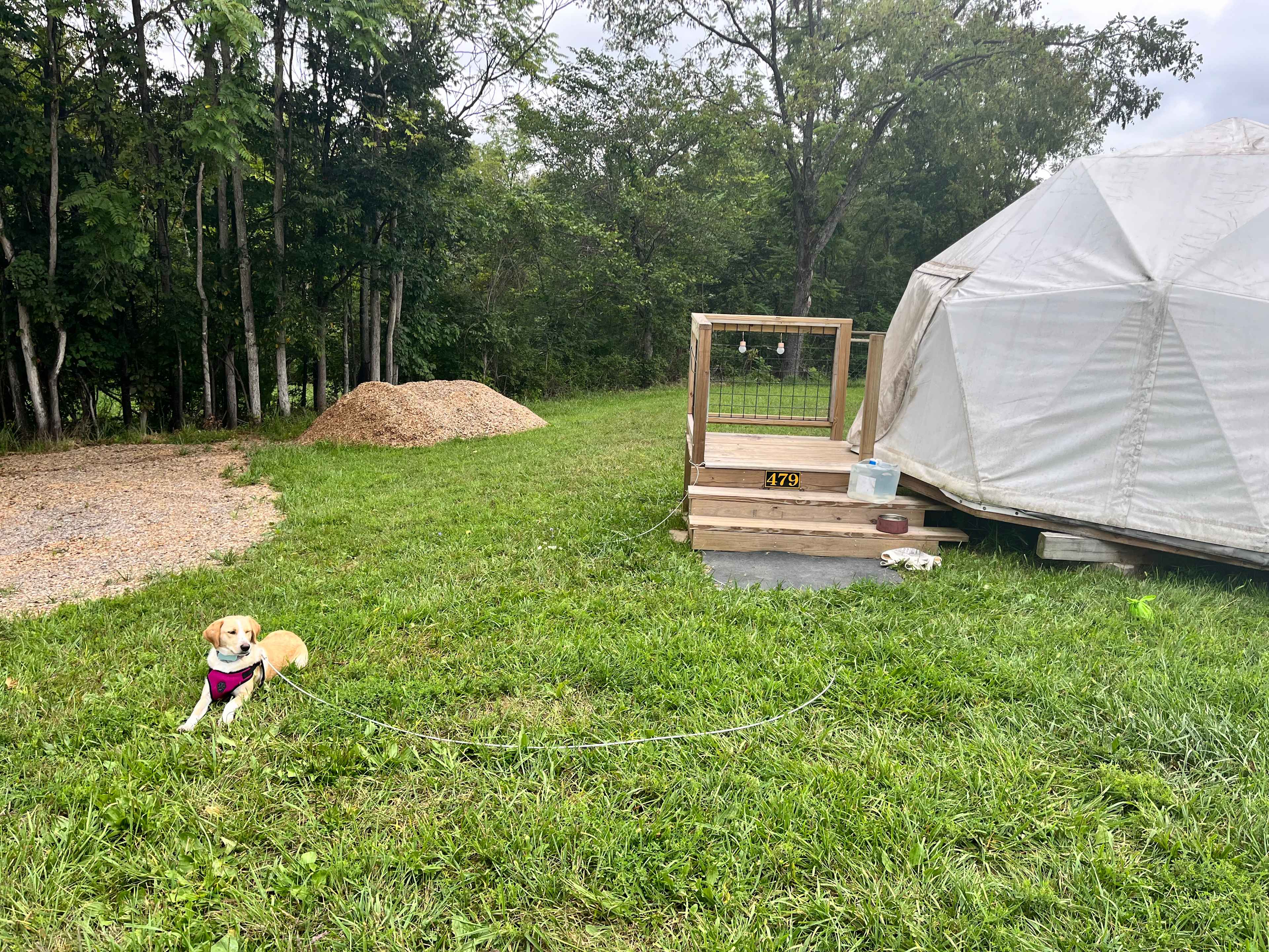 Our Farm in Strasburg, VA