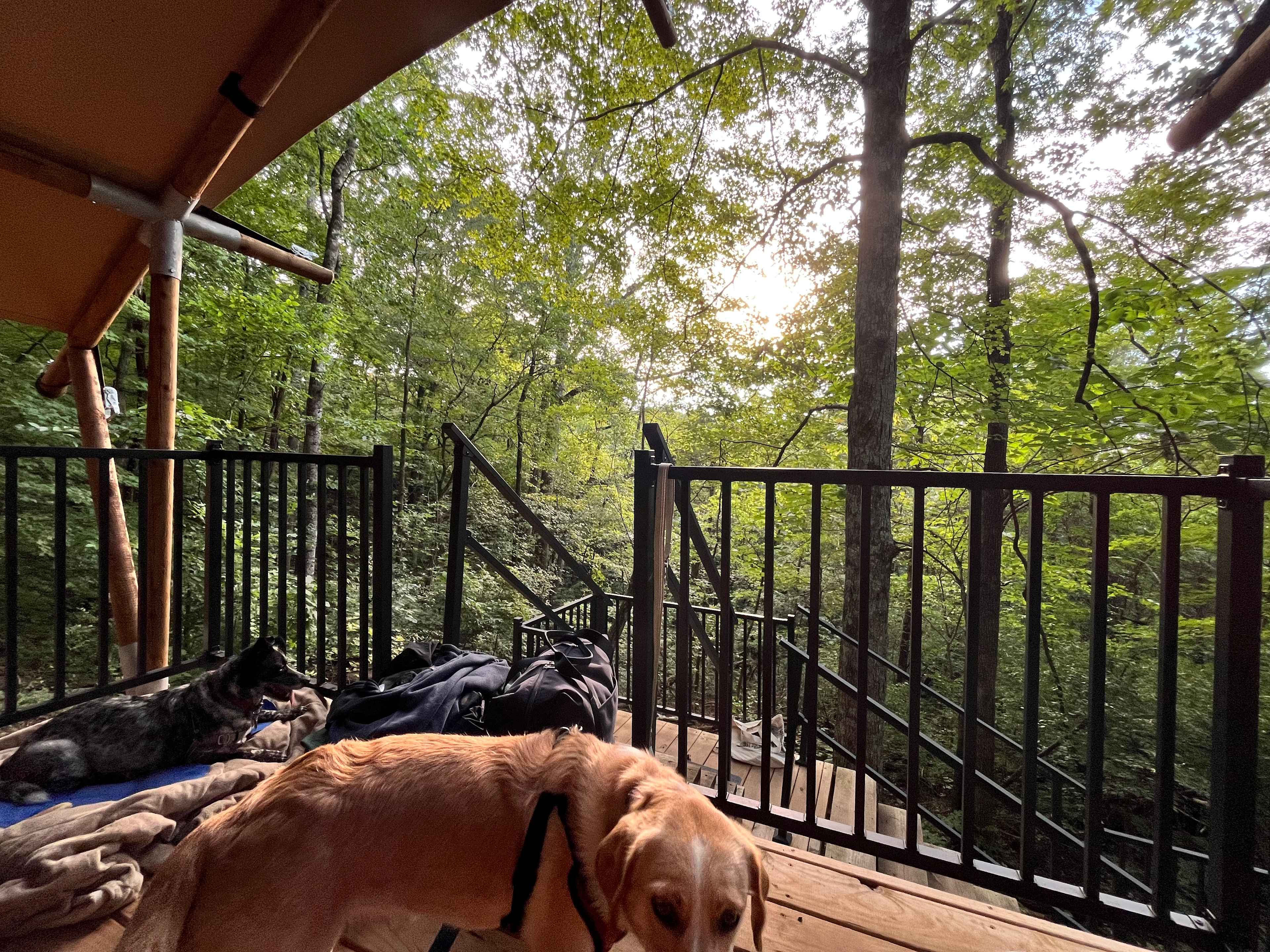 GlampKnox Canvas Campground