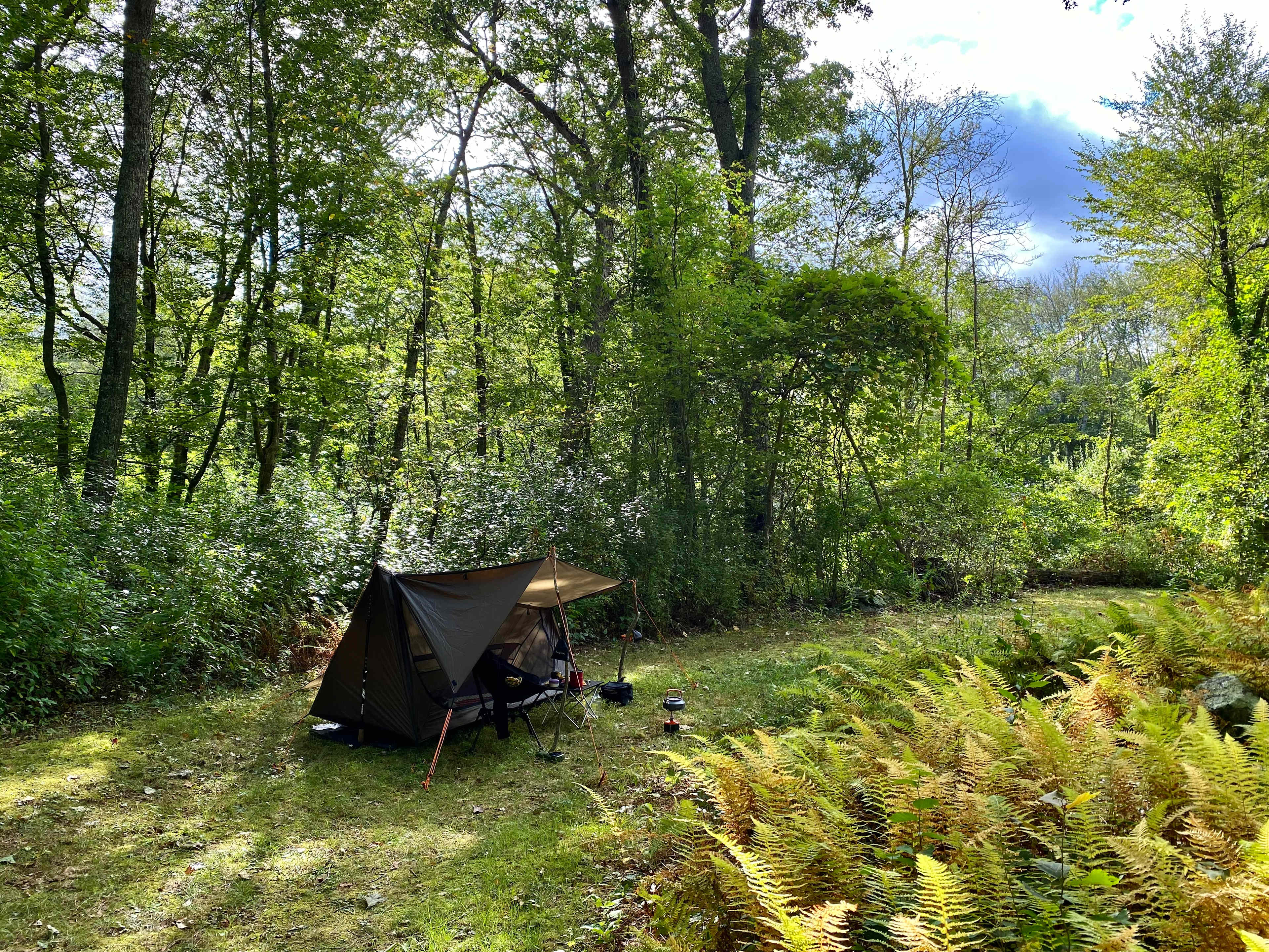 Peaceful 