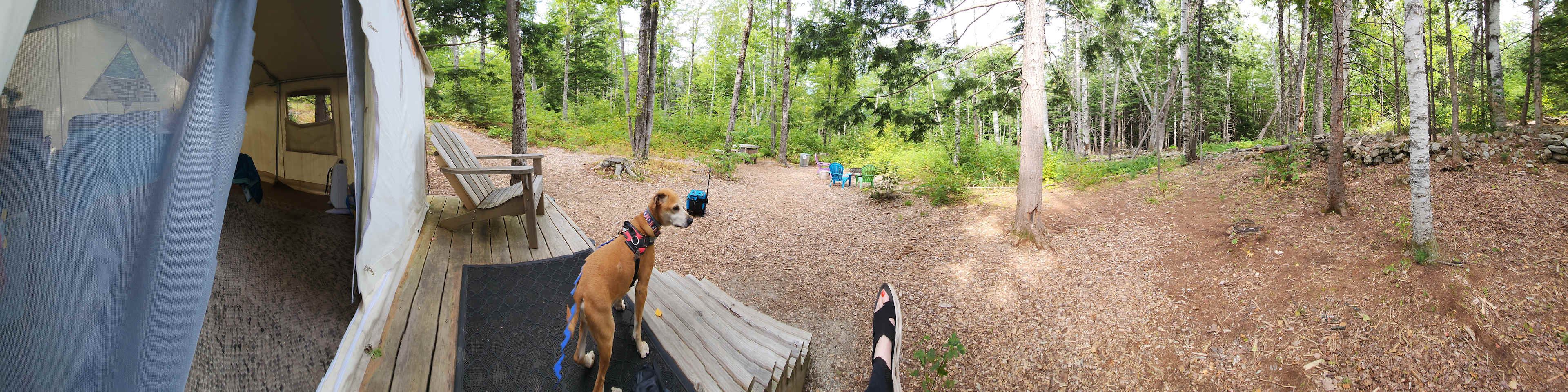 Butter Hill Hideaway-Forest Retreat