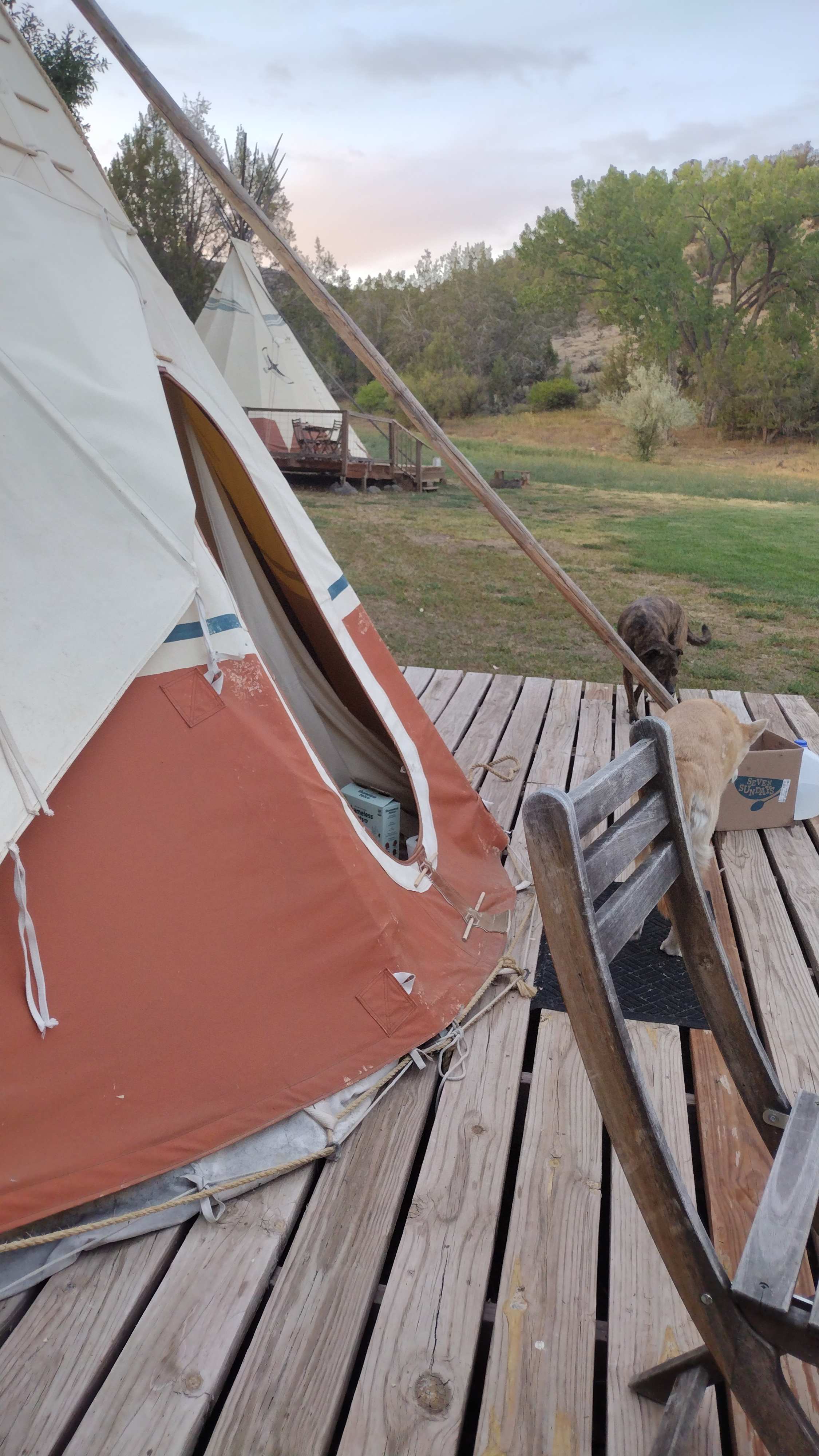 Old Moon Acres Tipi Haven