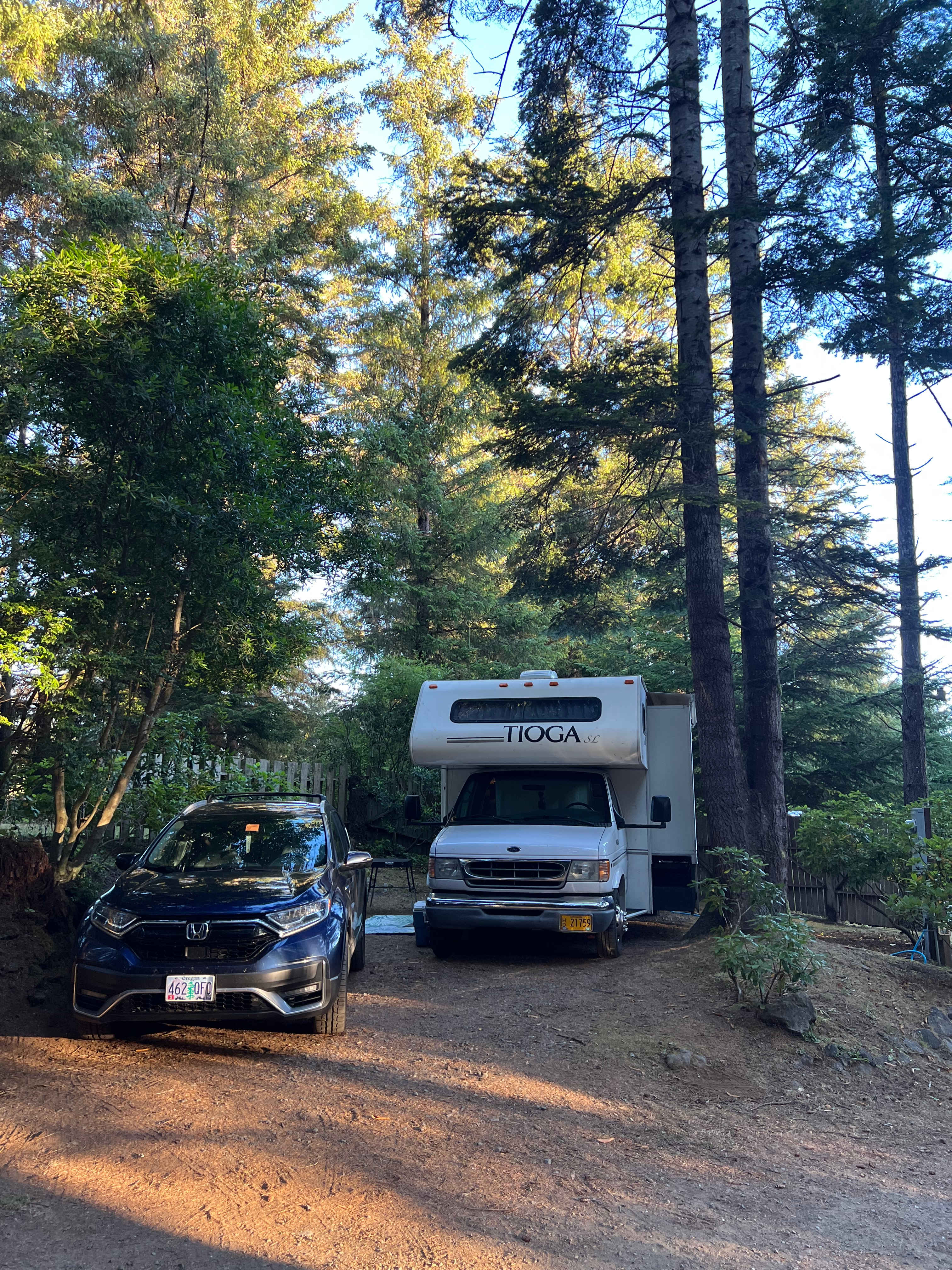 Honey Bear by the Sea