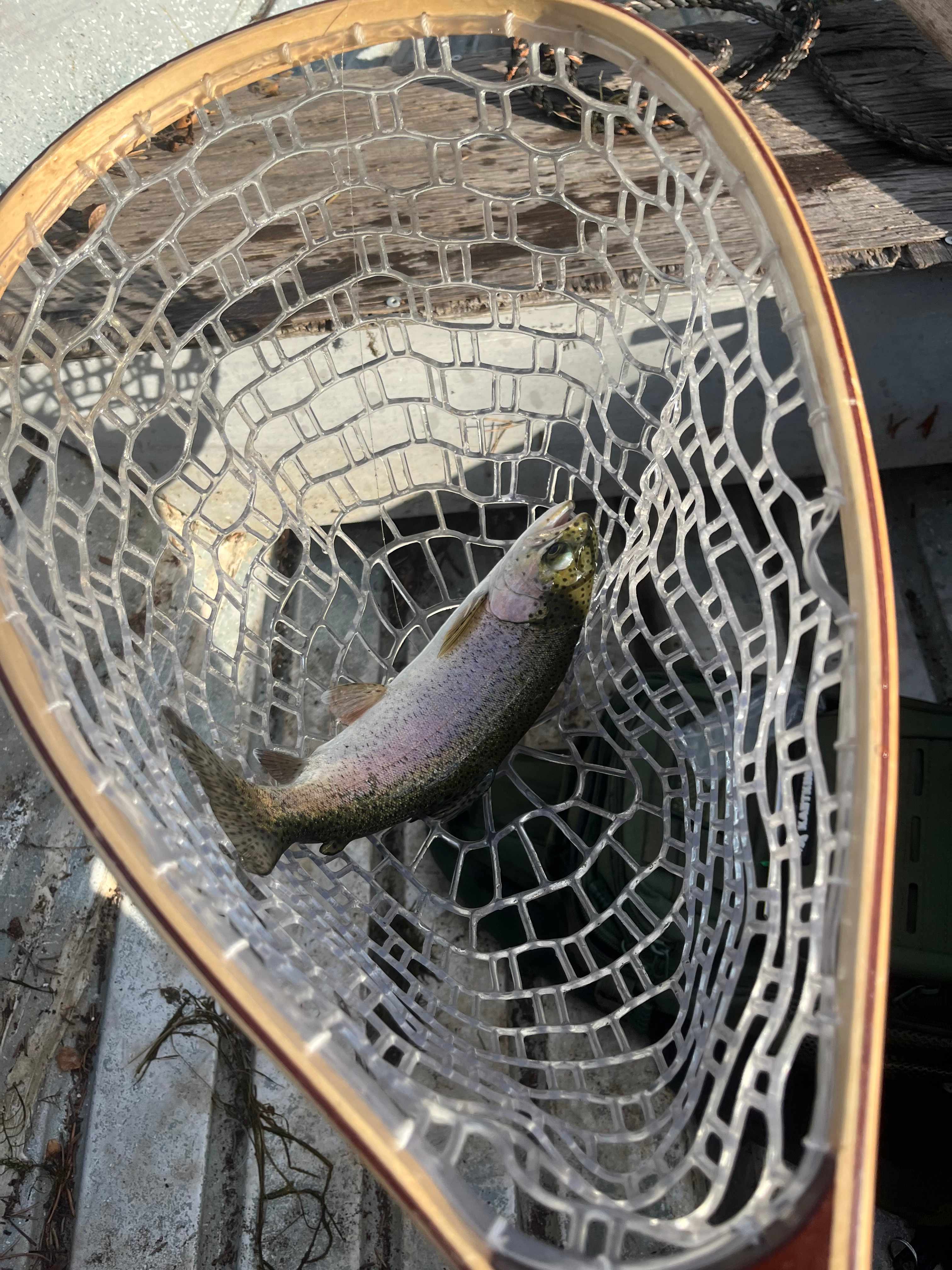 The Gold Links Ranch