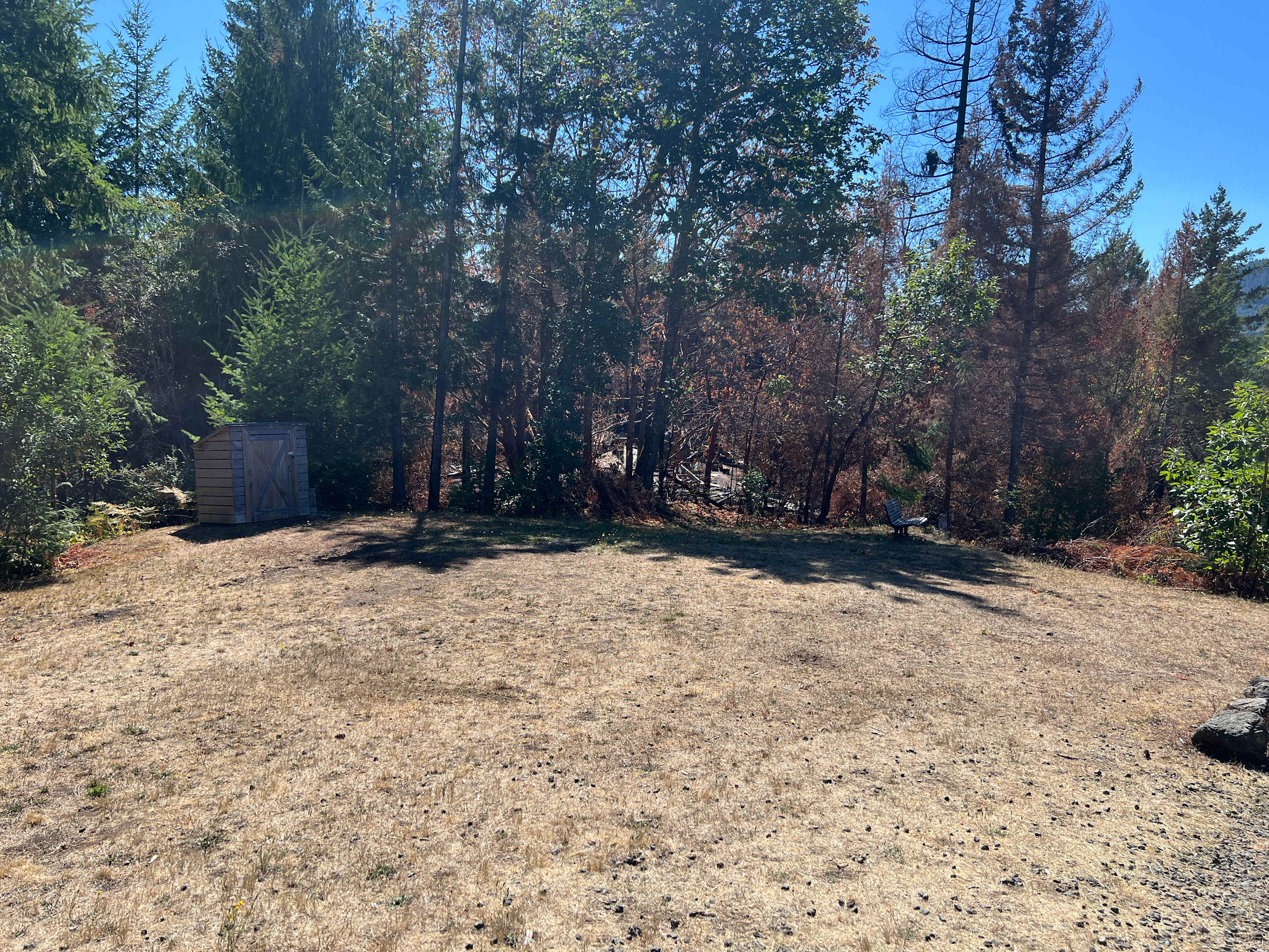 Good 'Dose' of Relaxation