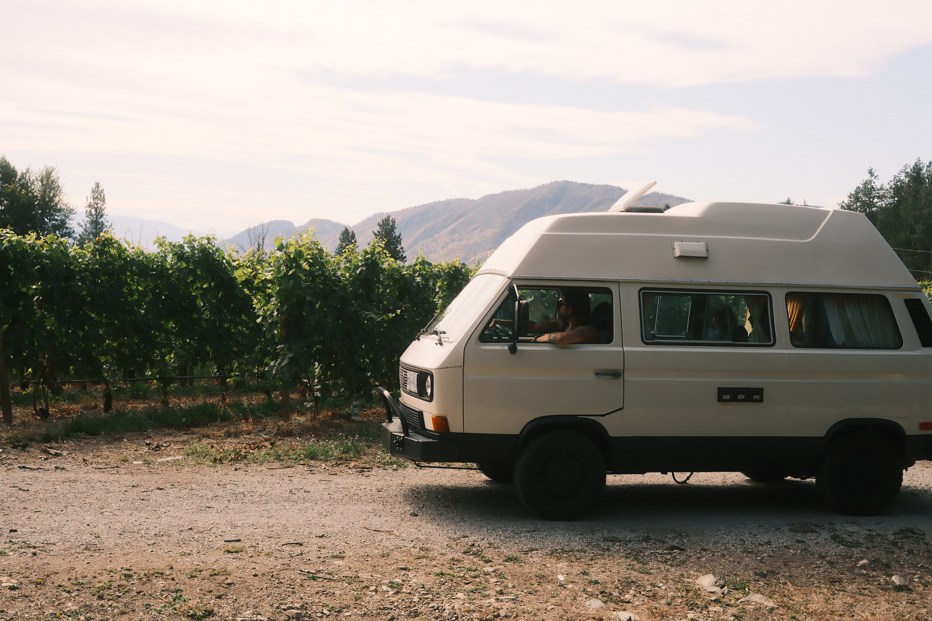 Back Forty Vineyards