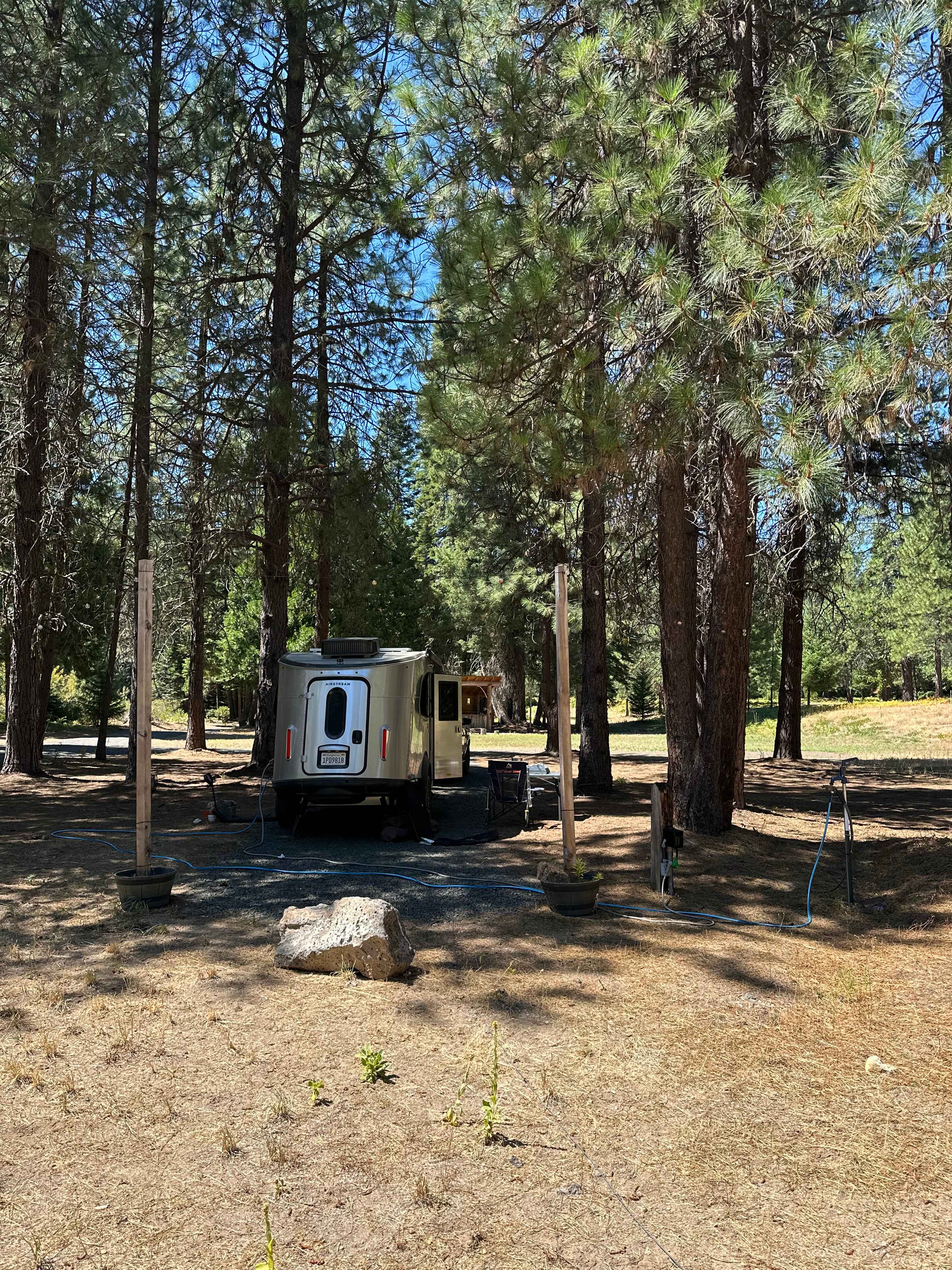 Basecamp in the Pines 