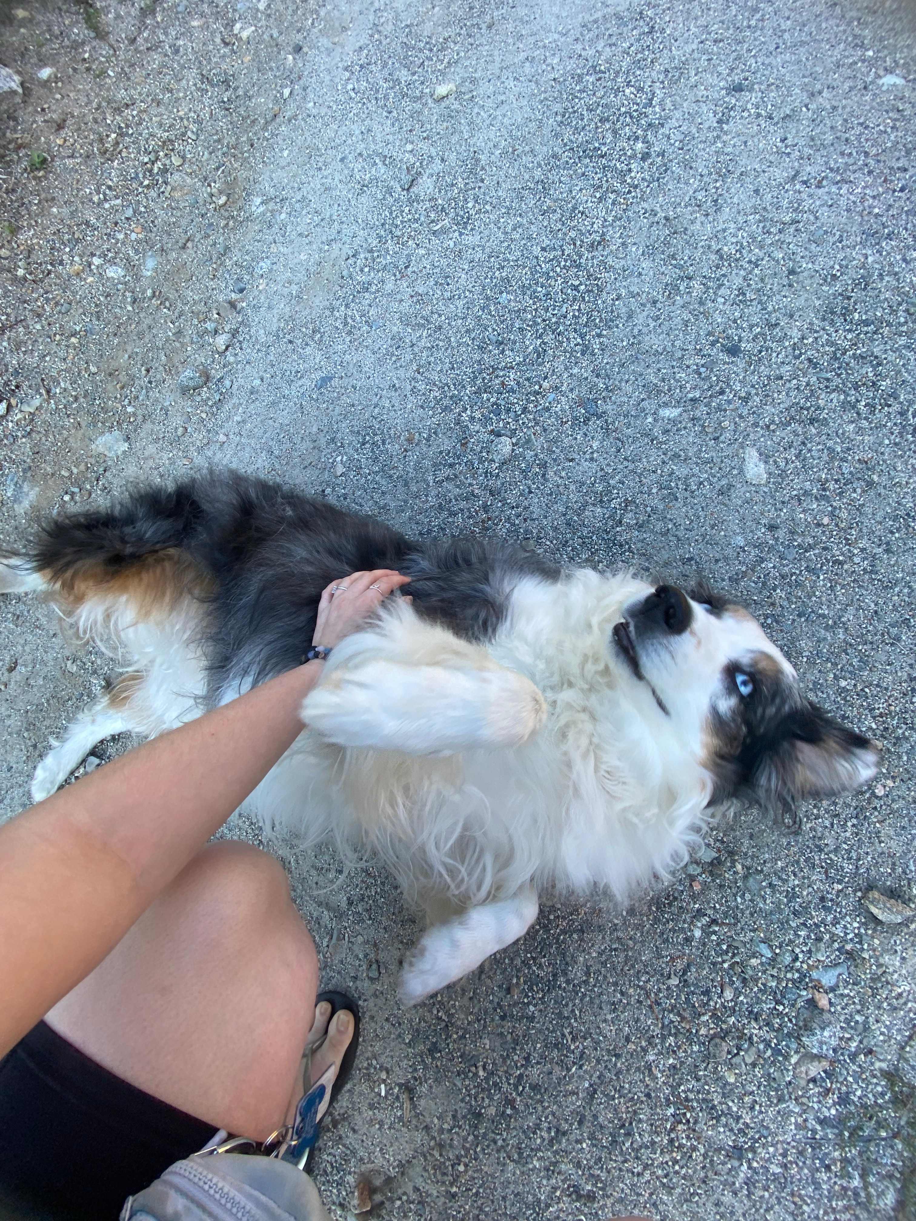 Tiny Secrets Farm & Retreat