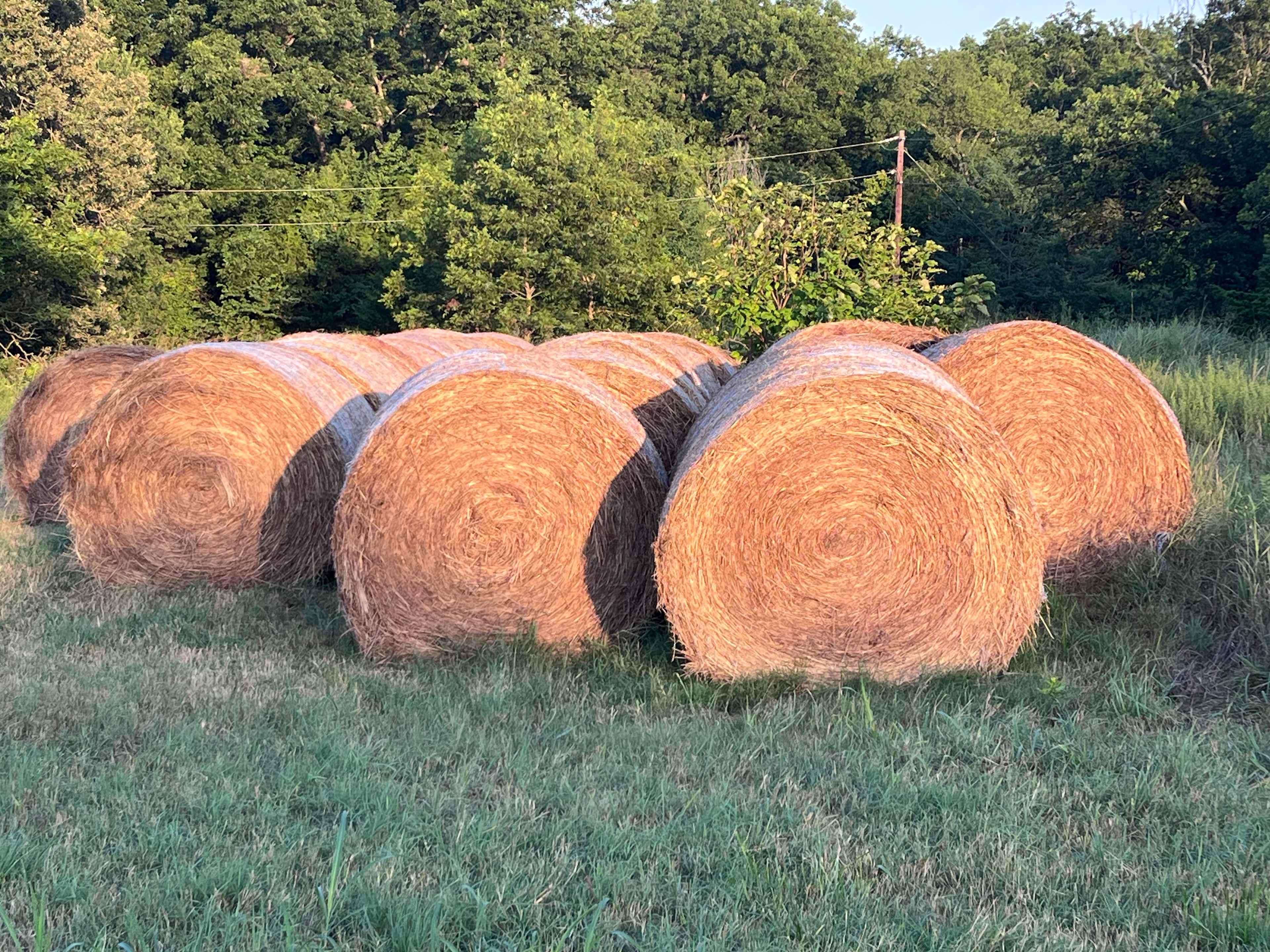 Peaceful Family Farm