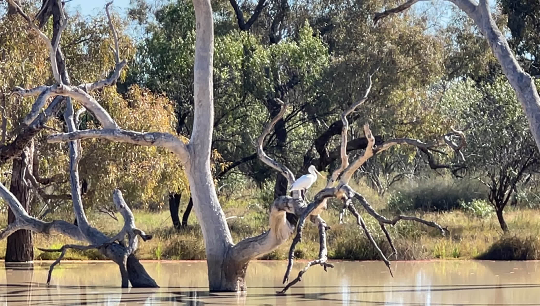 Francvillers Bush Camping