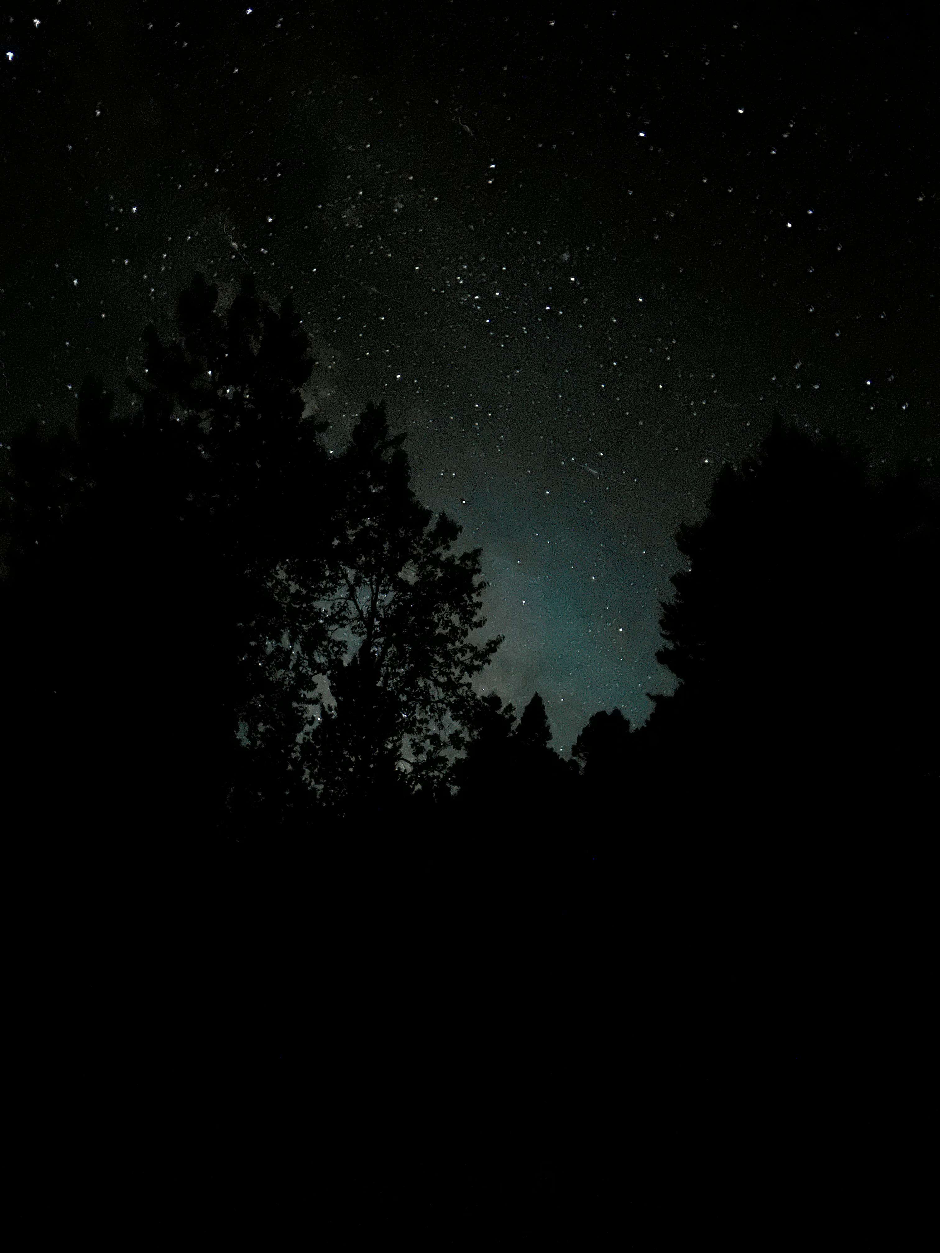 Don’t fret if you can’t have a fire the stars are even better 