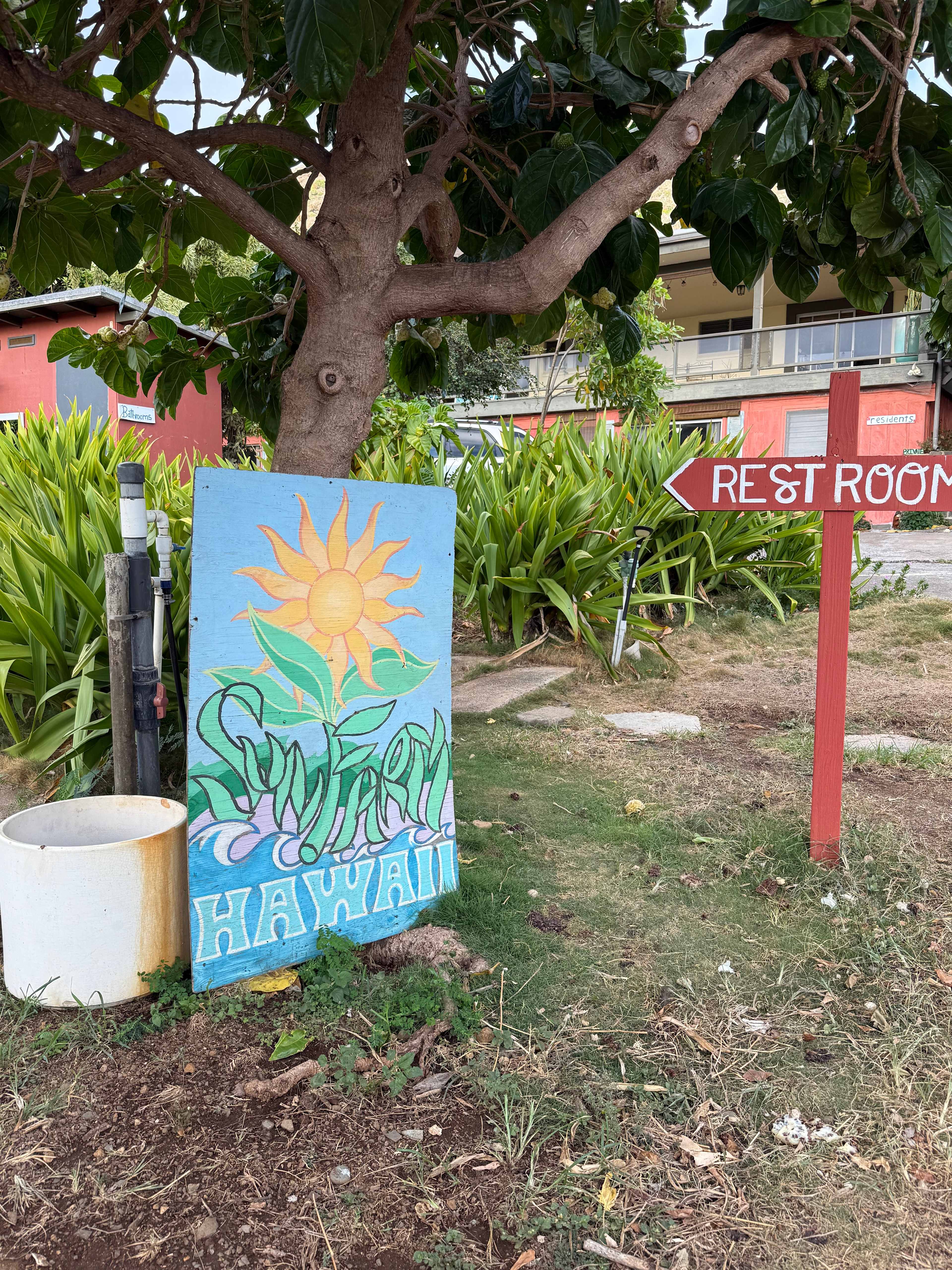 Sun Farm Hawaii @ Koko Head