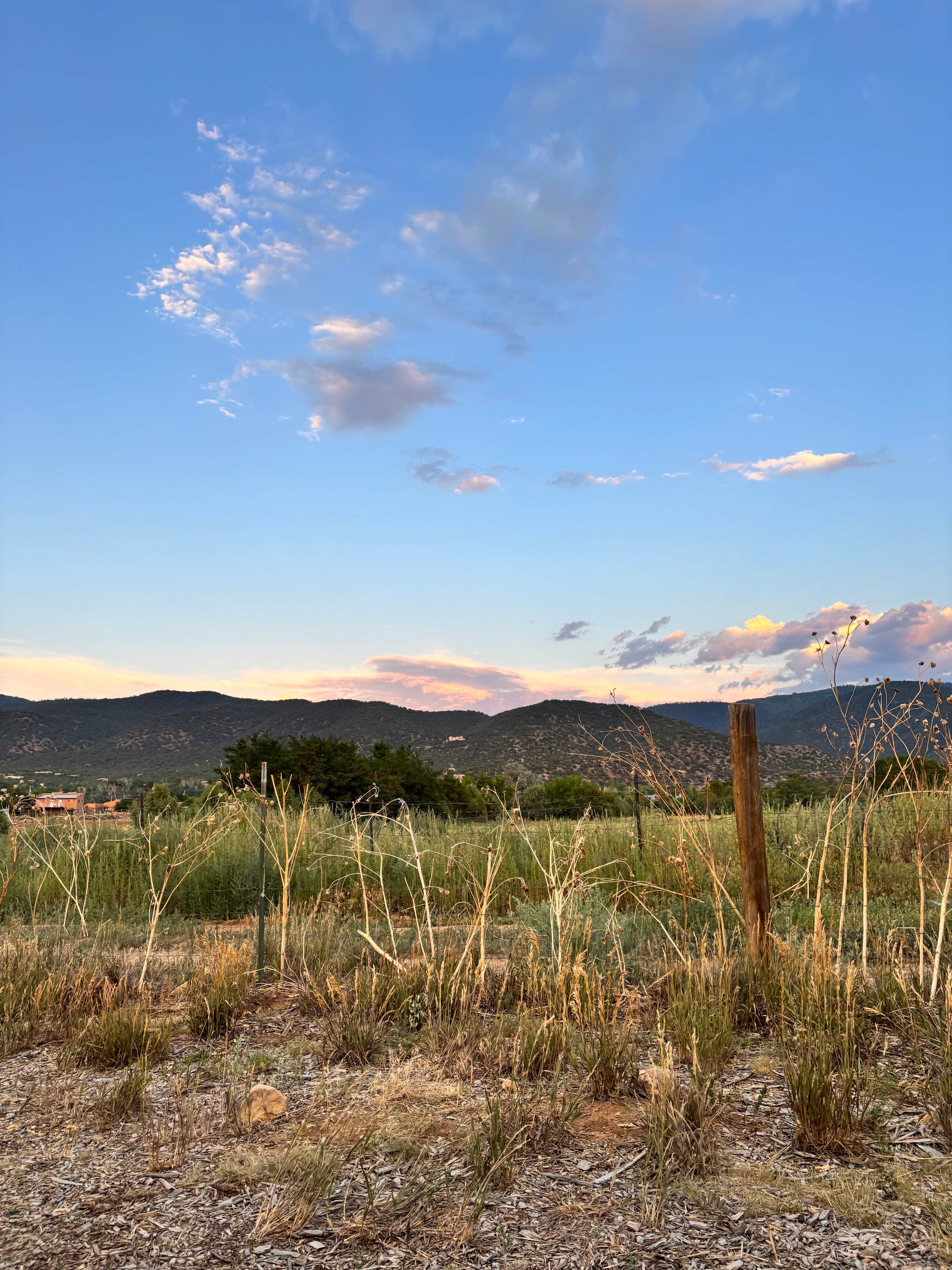 HarmonyTaos Regenerative Farm