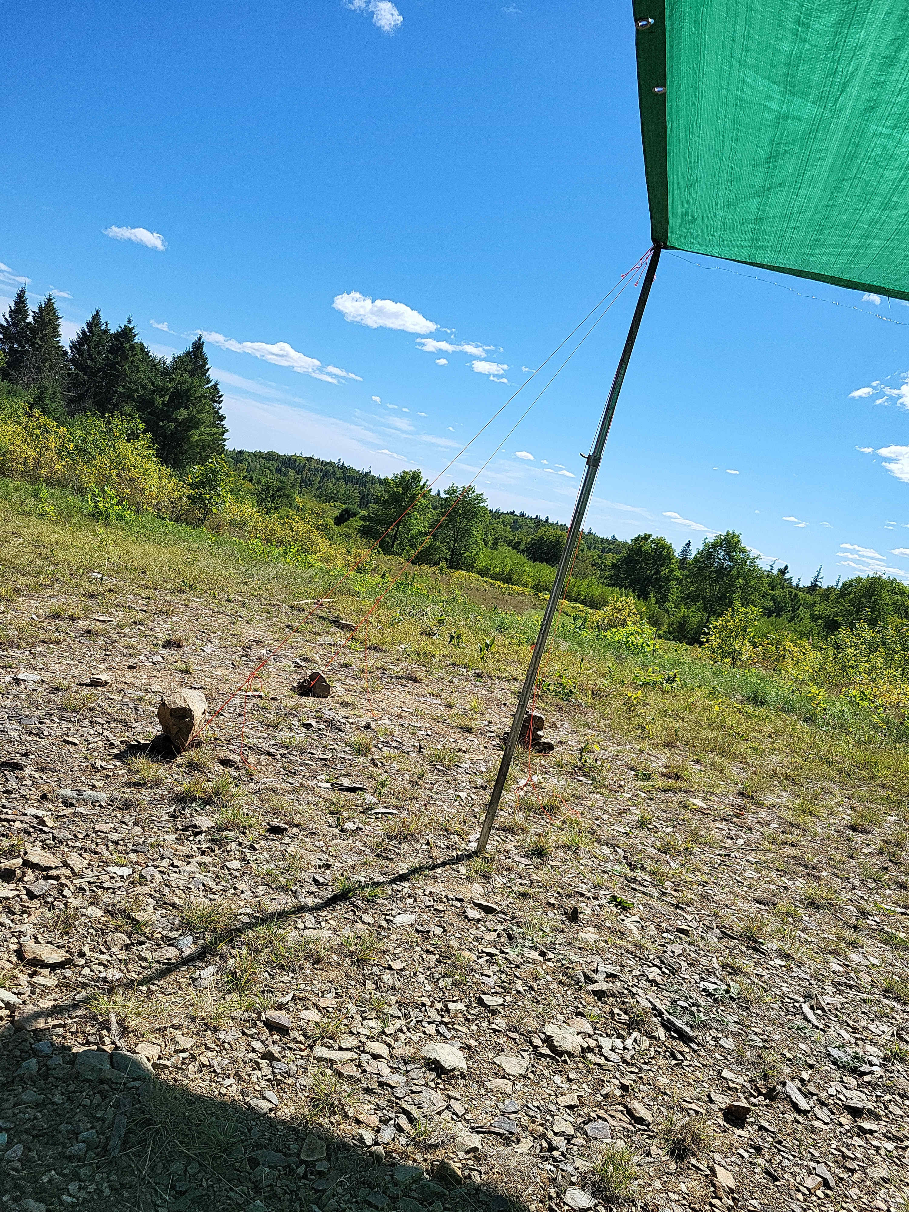 Wickham Nature Retreat