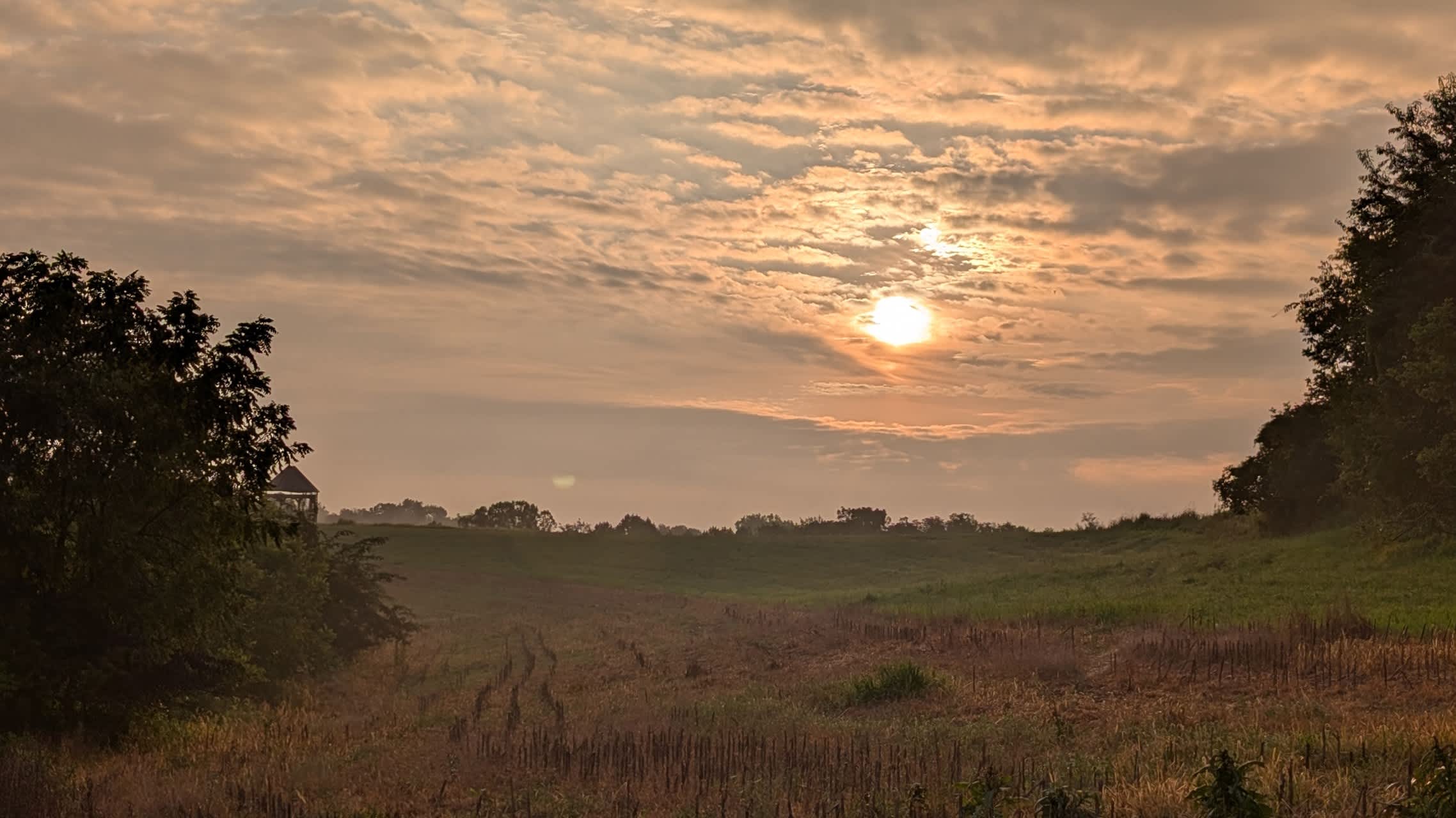 McKee Farm - Treehouses and Camping
