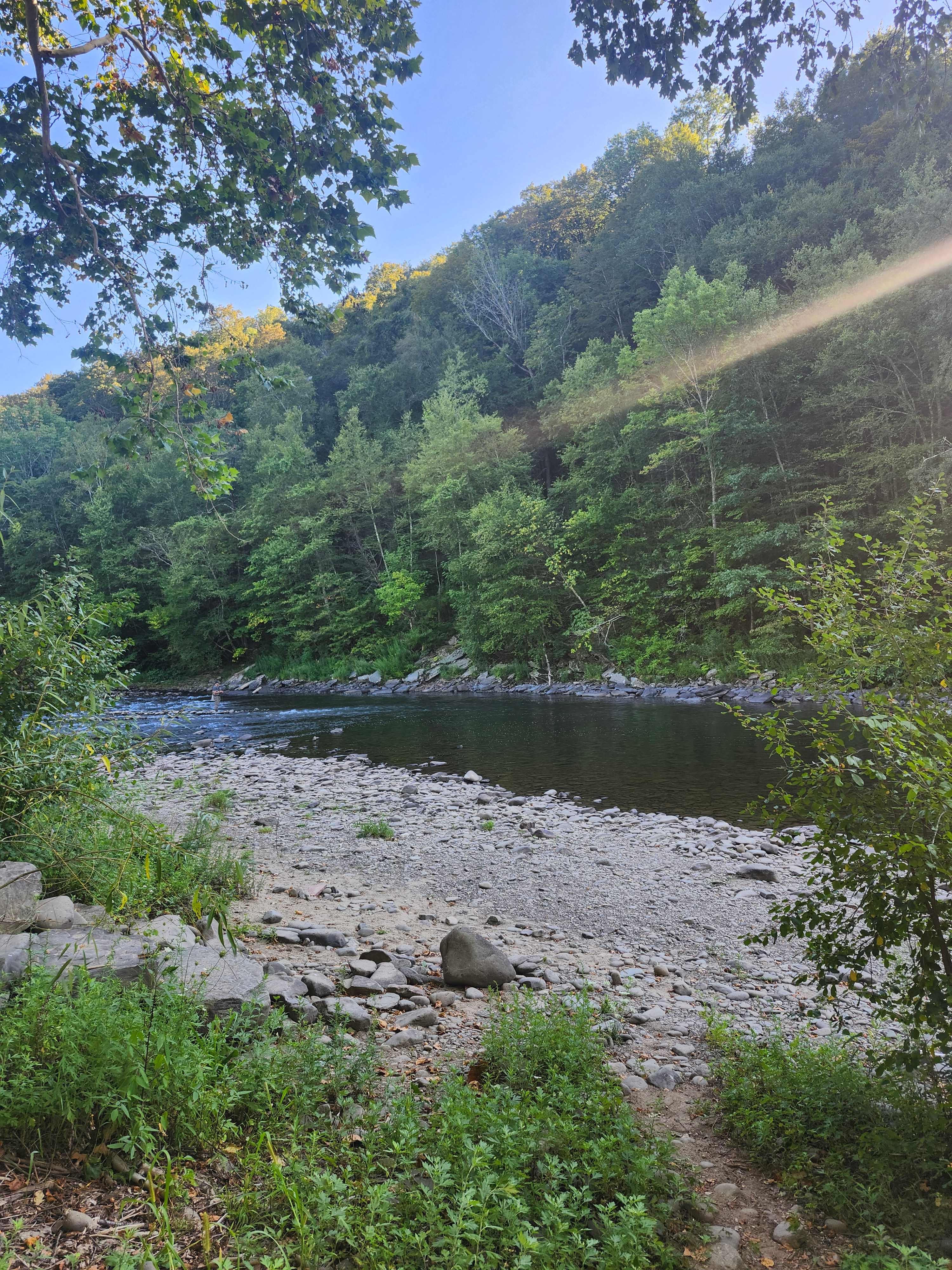 Butternut Grove Camp on the River