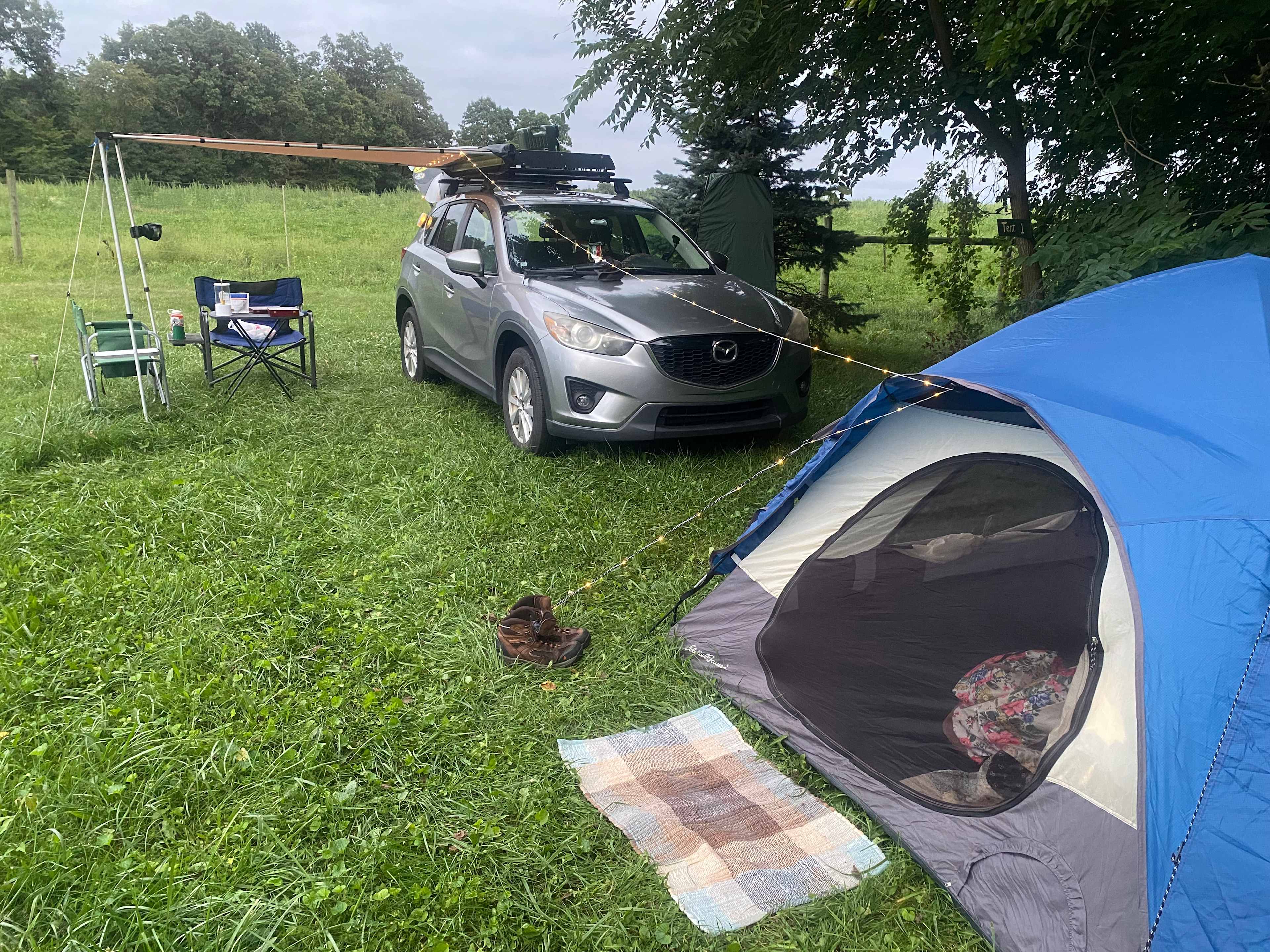 Bracy Gold Bison Ranch