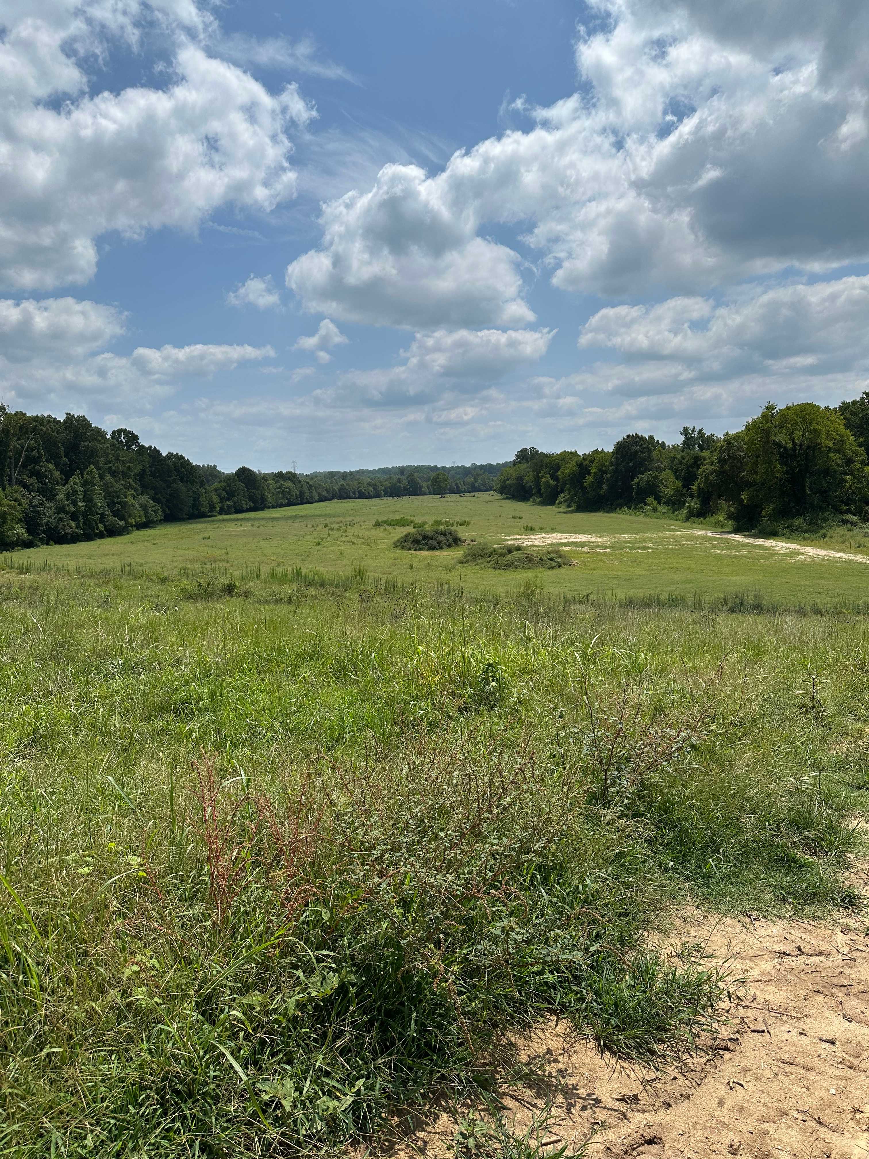 Red Hound Farms