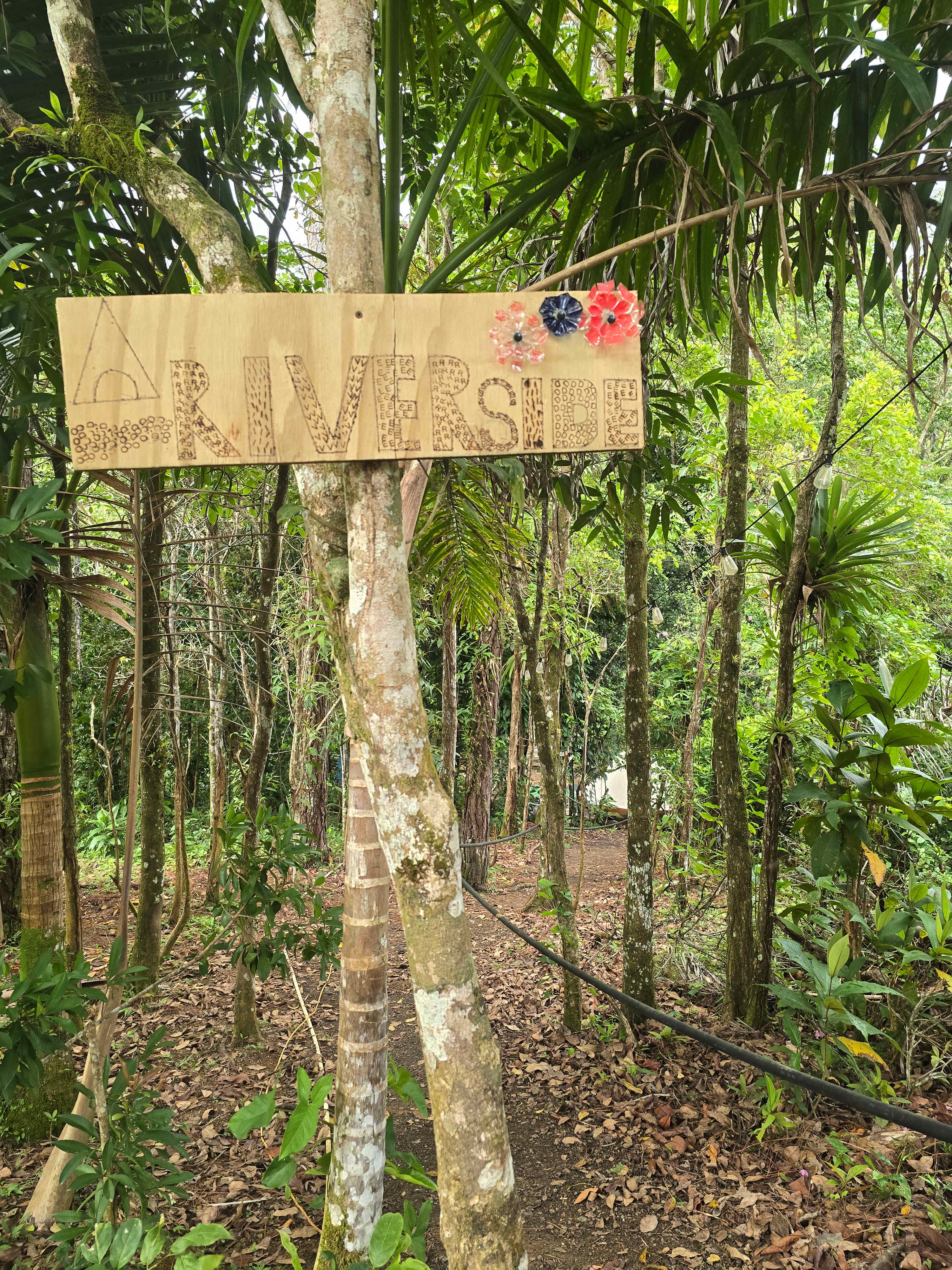 The Singing Rooster Farm And Campground