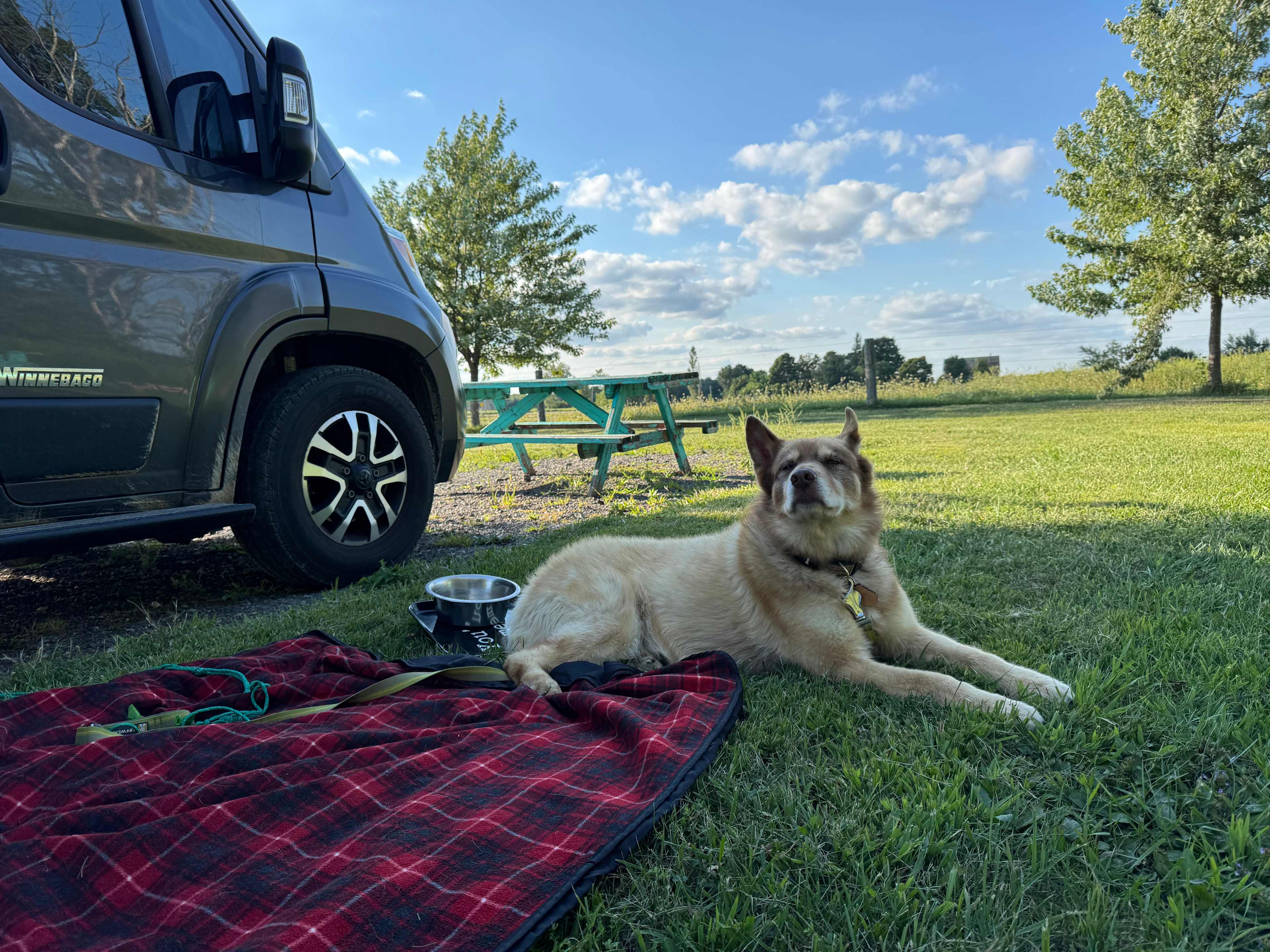 Anna enjoying the grass