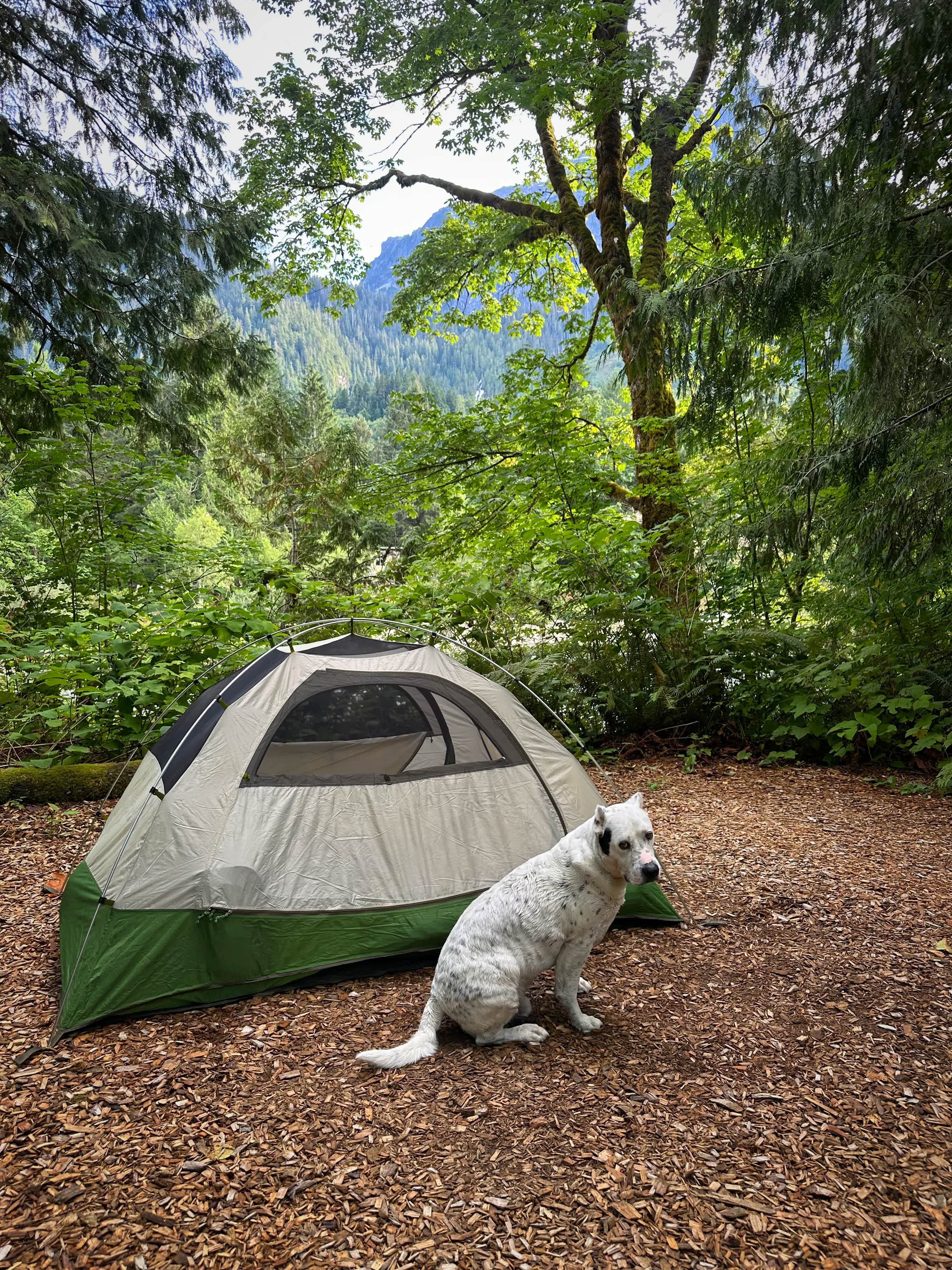 The Landing at Index WA