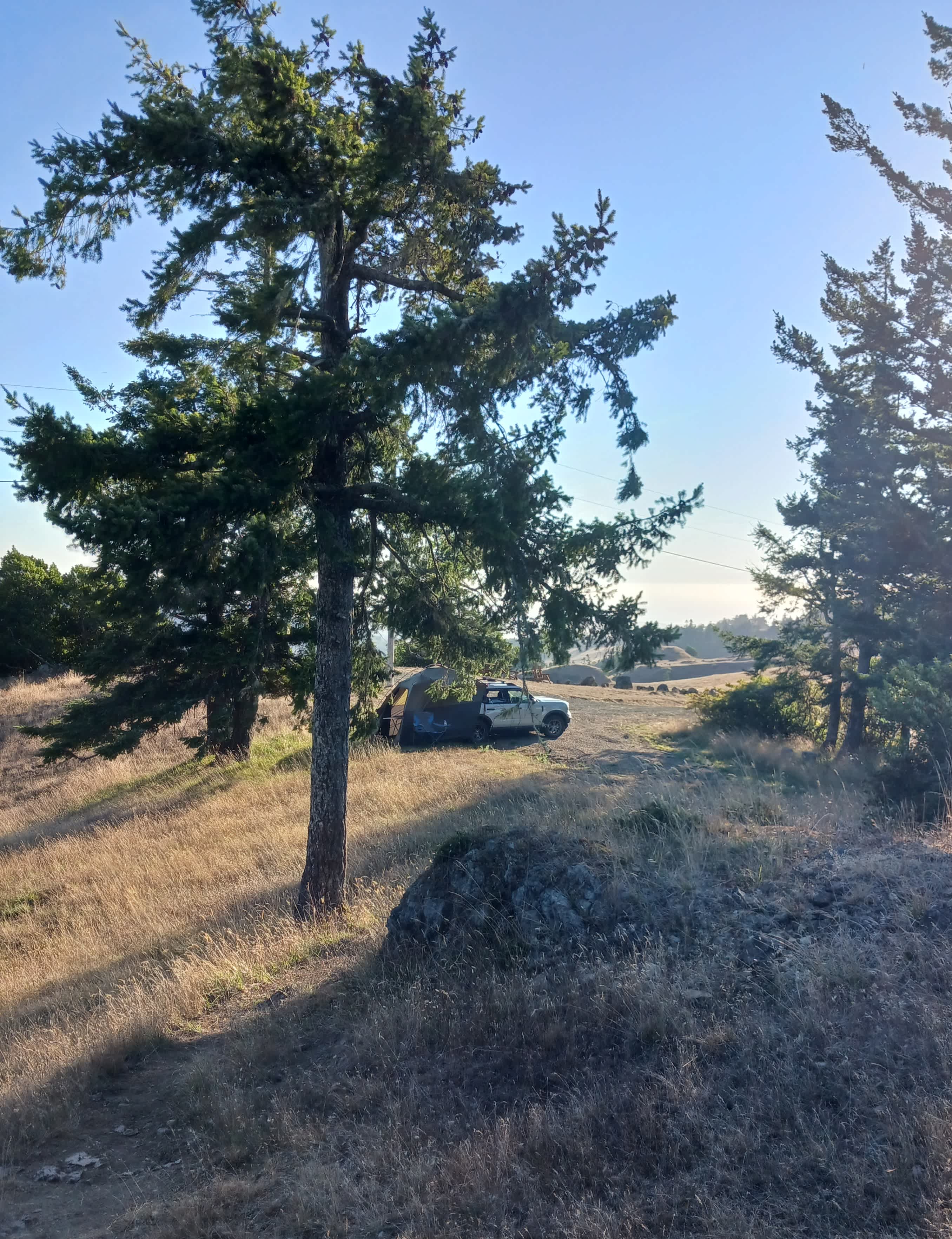 Camping under the trees.