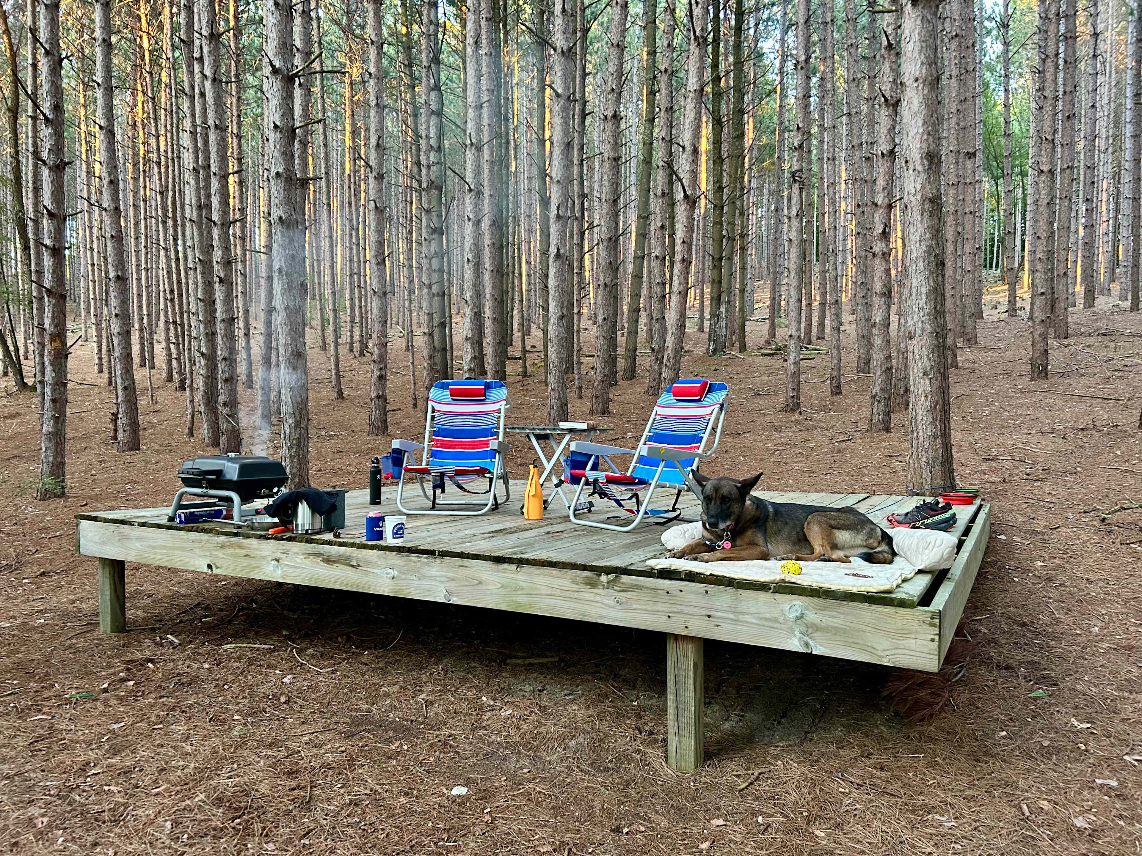 Camp Moonshadow