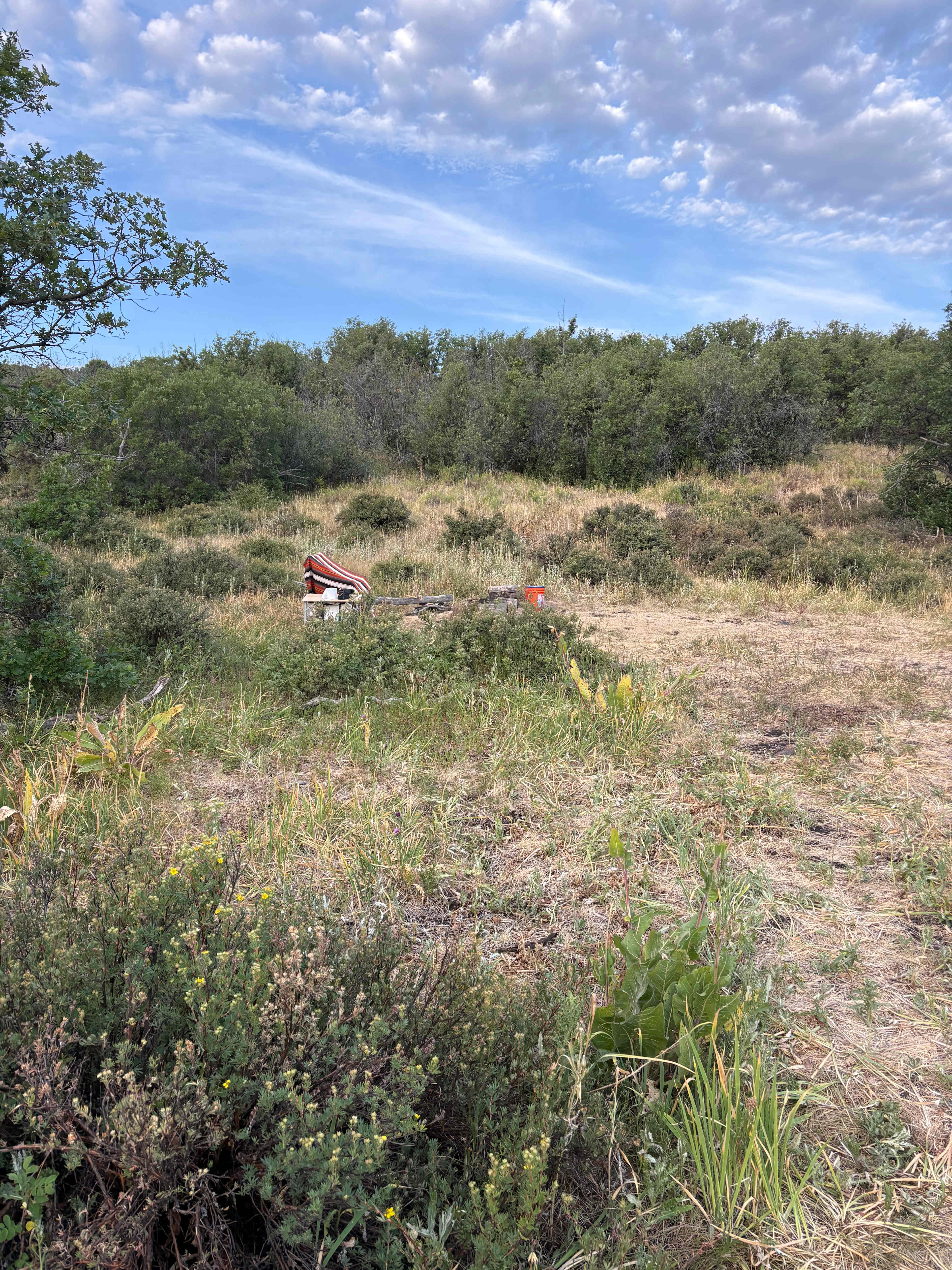Looking back up the hill at the fire pit area 