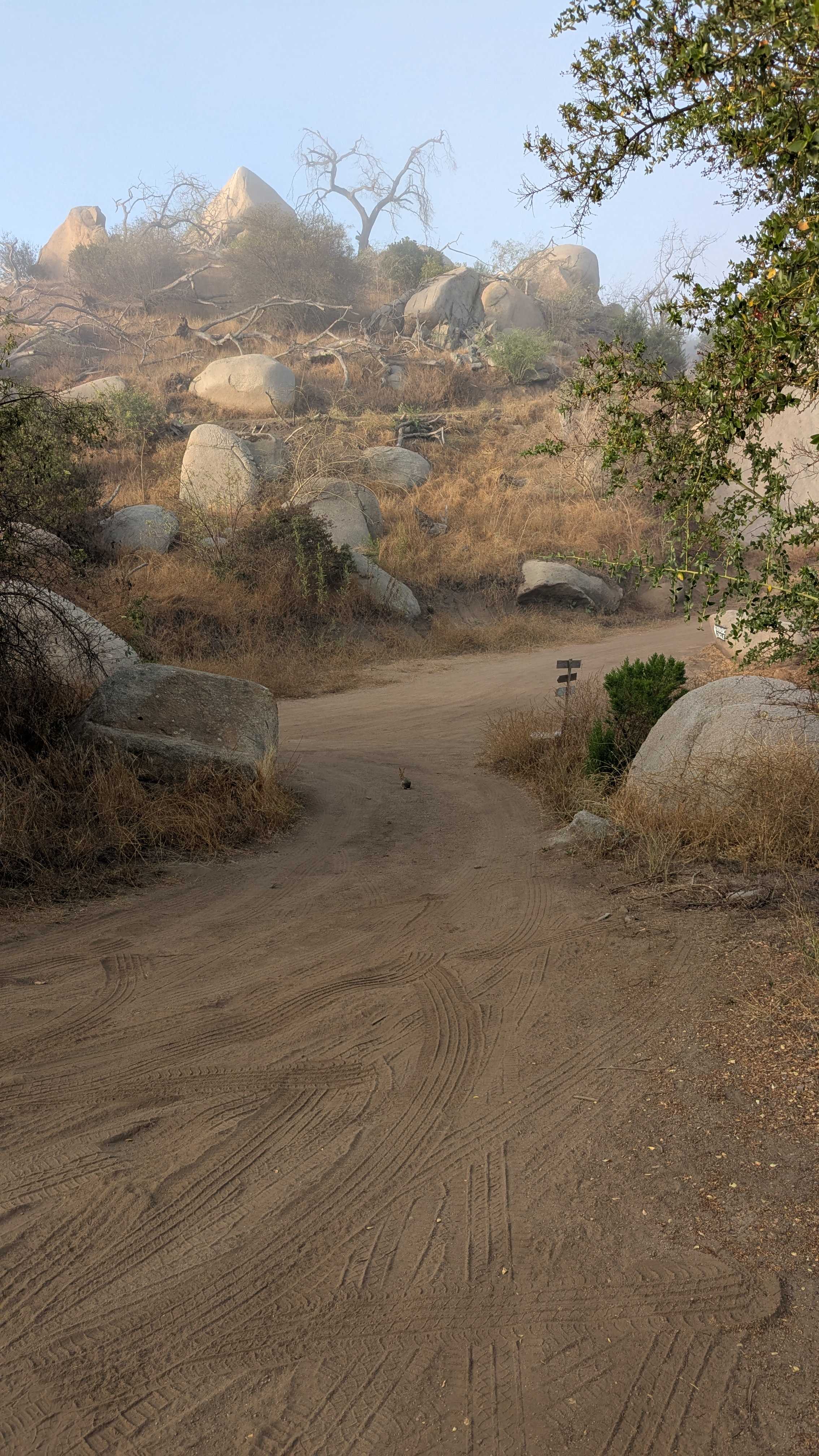 Splitrock - Branch Out Glamping