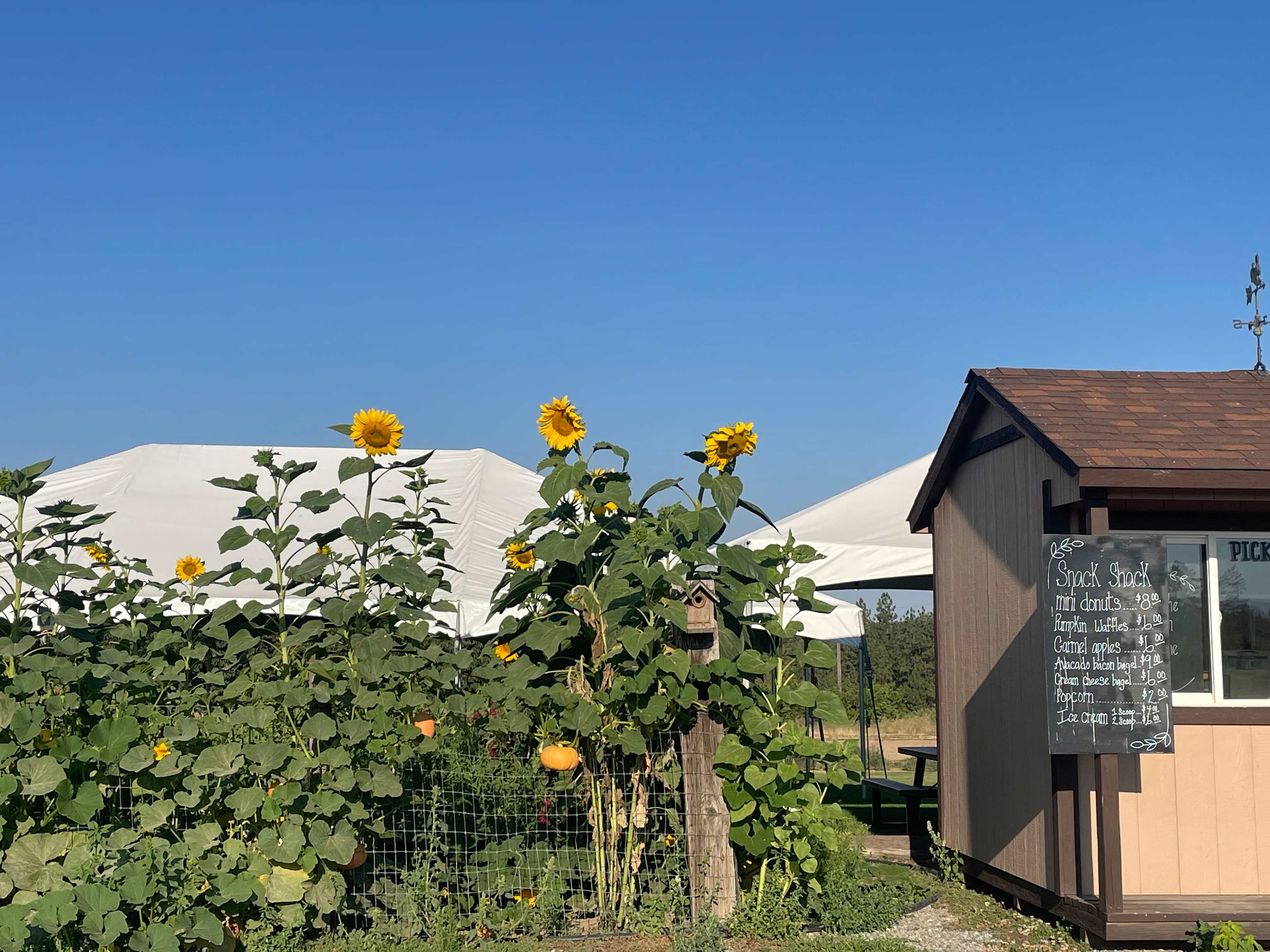 Hidden Acres Orchards