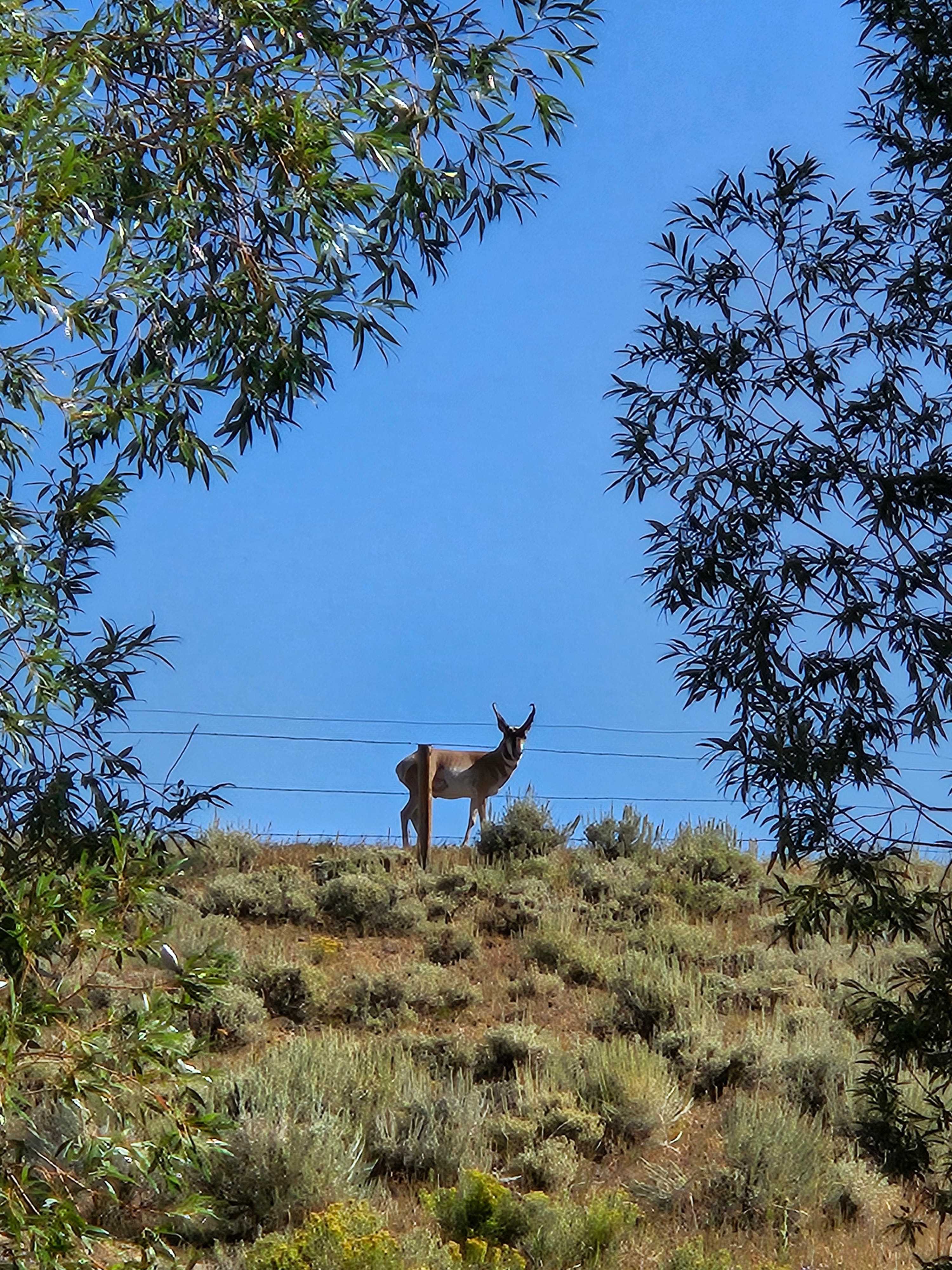 Granby Mountain Horse Ranch