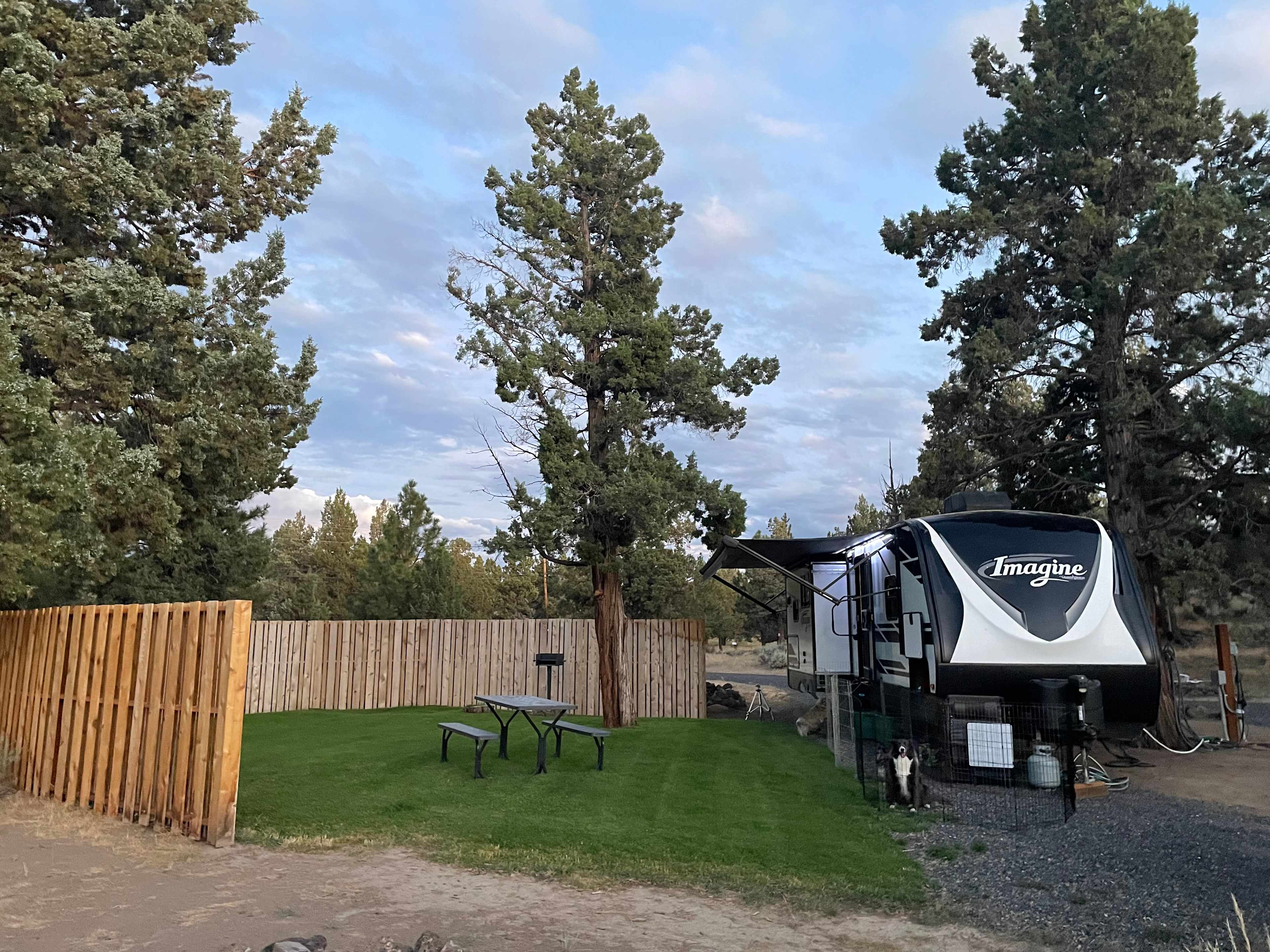 Lush site on one side, perfect hookups on the other and easy drive thru site. 