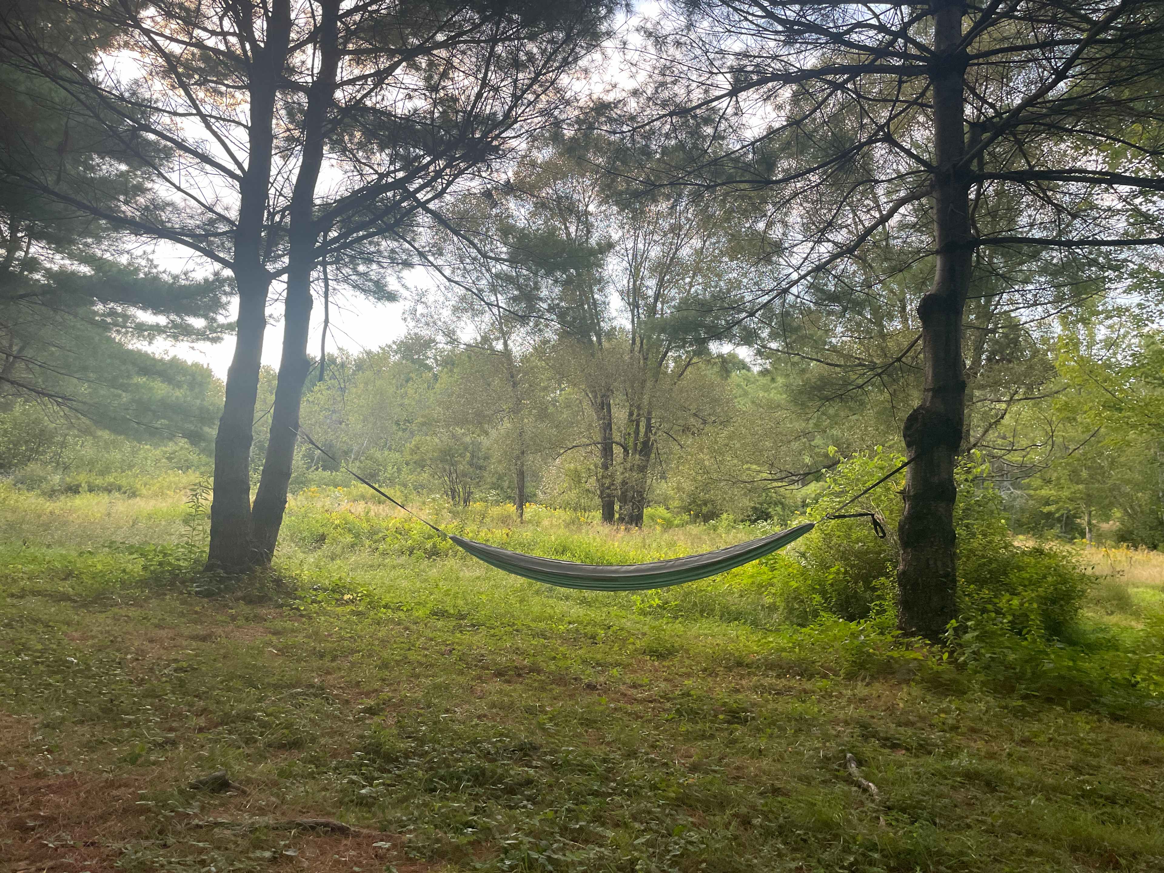 Peary’s Community Garden