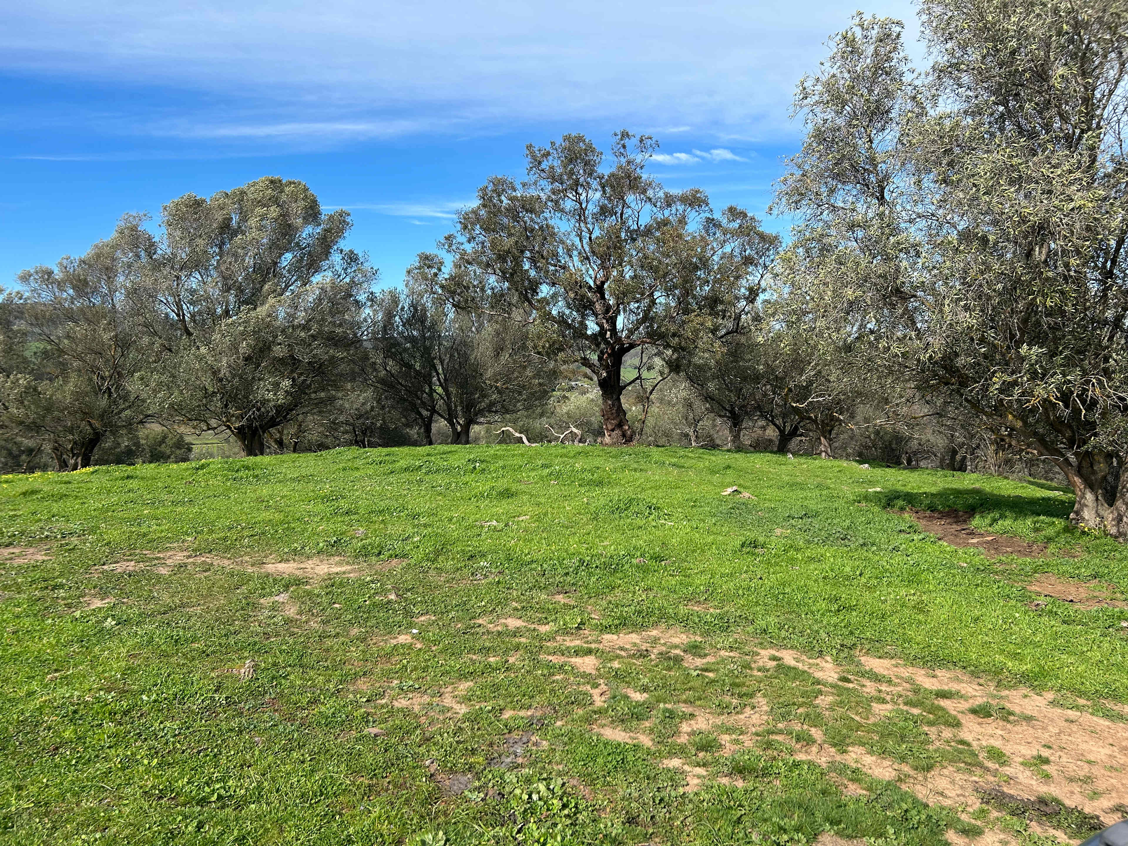 Goose's Pond & Norm's Farm B & B
