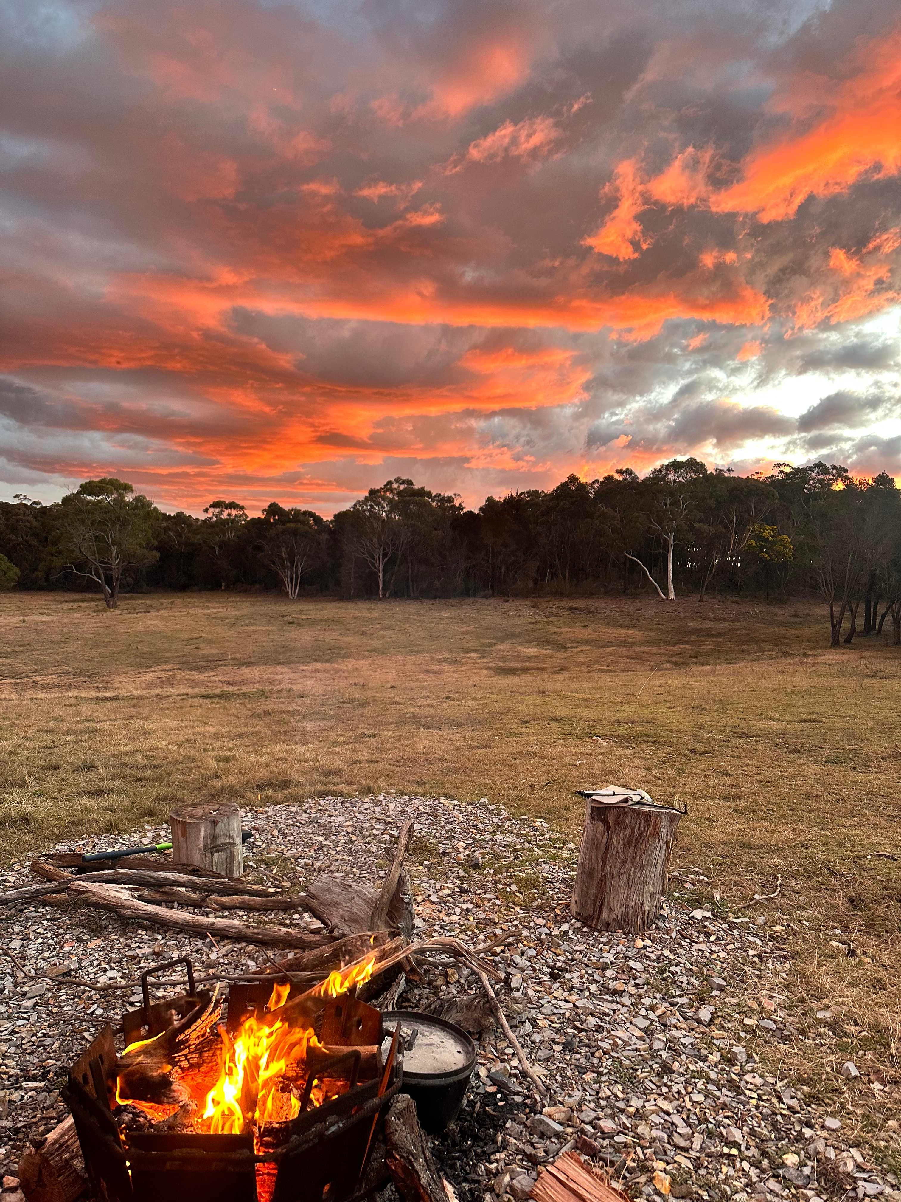 Buenpaso - good step