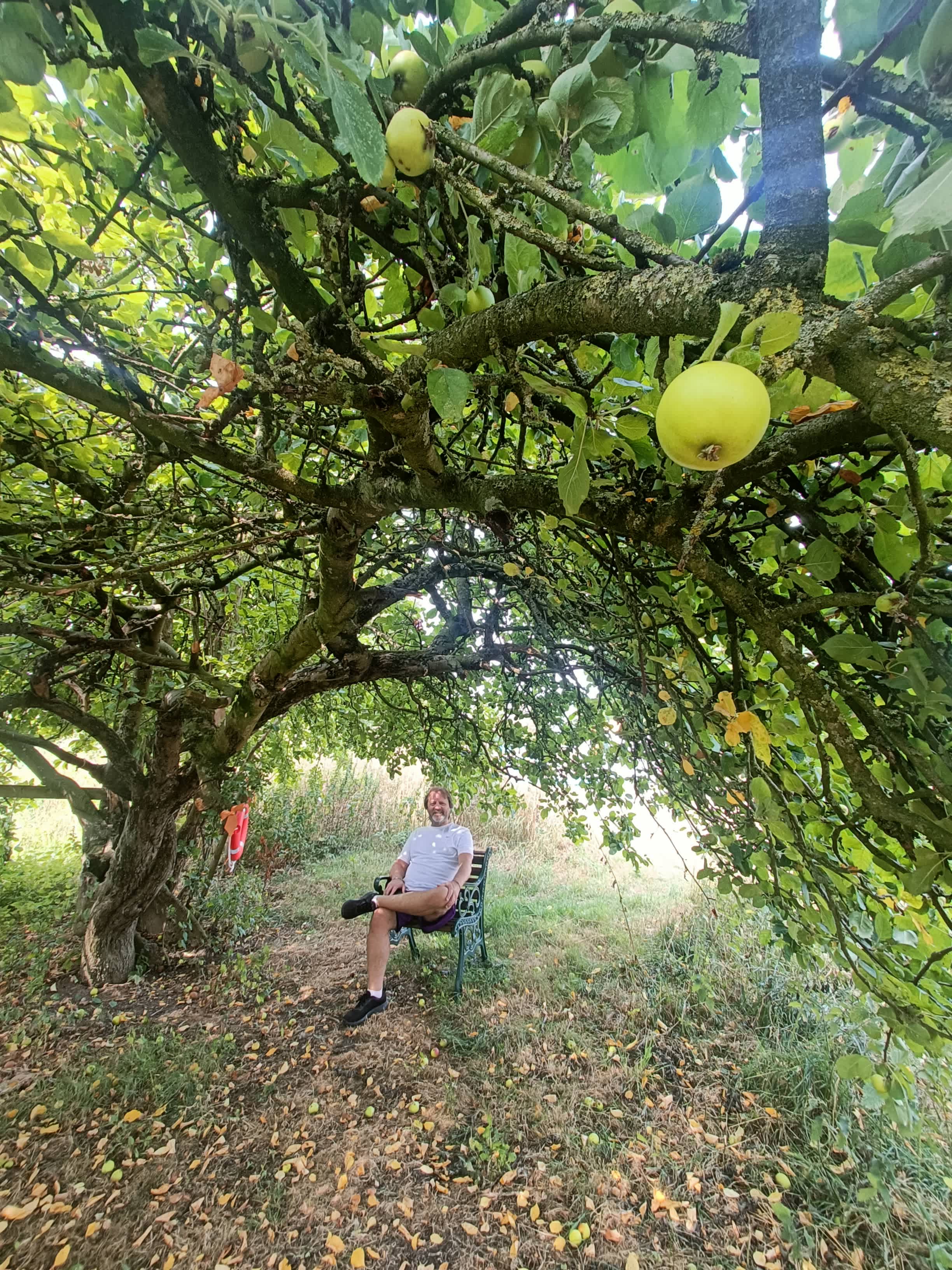 Little Eden Riverside Campsite