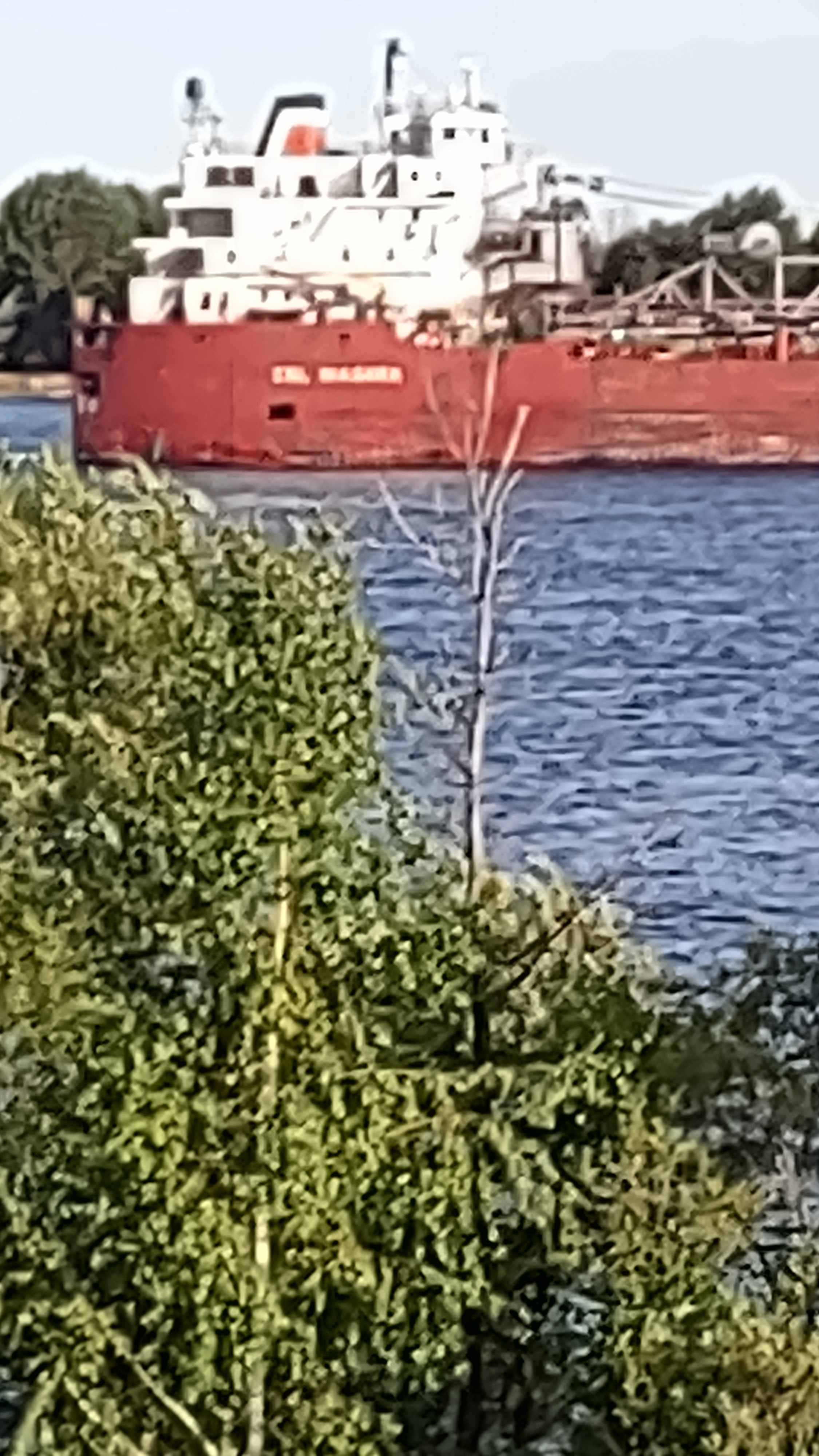 Waddington's Leishman Point