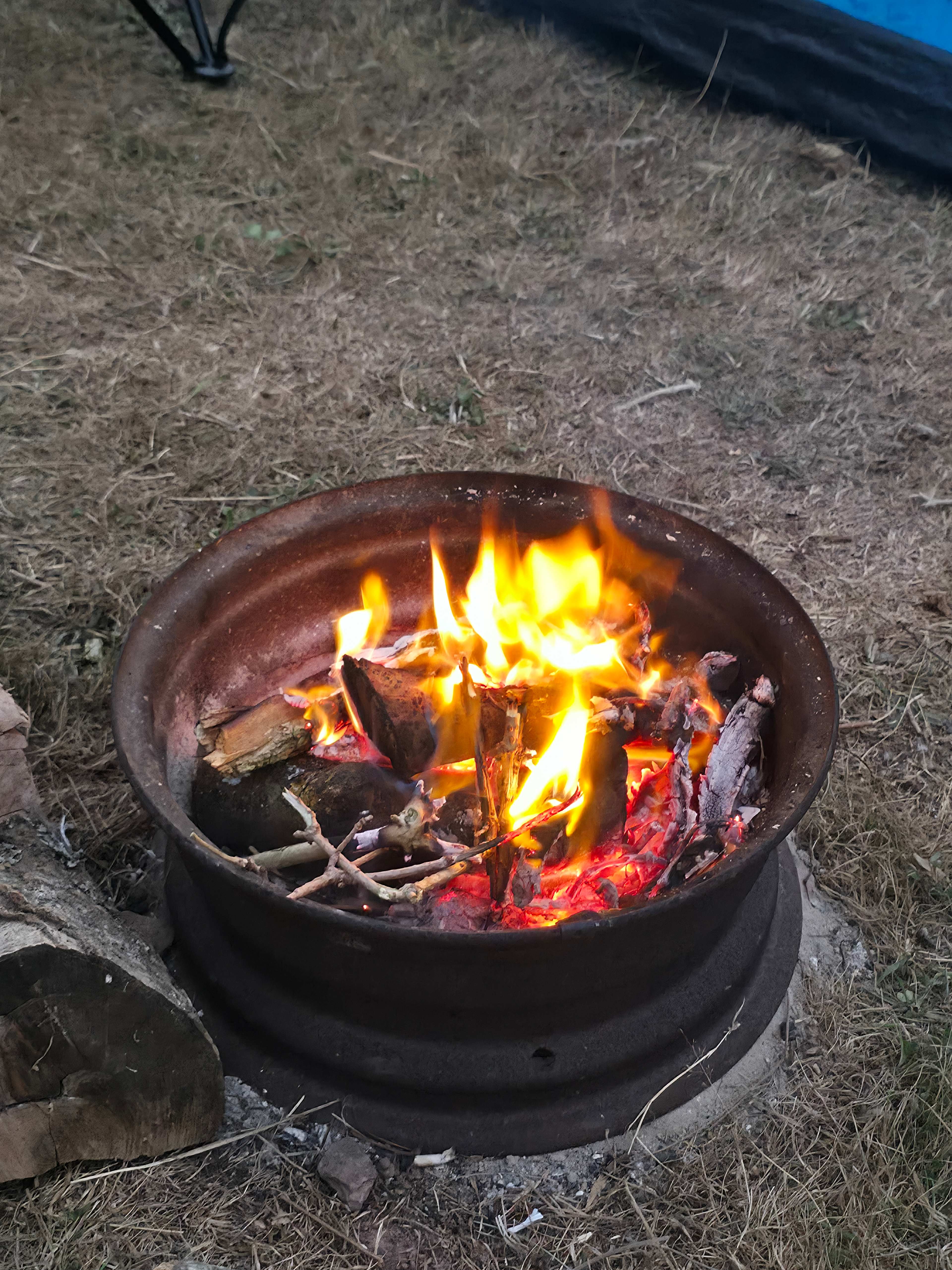 Cwmffrwd Farm Campsite