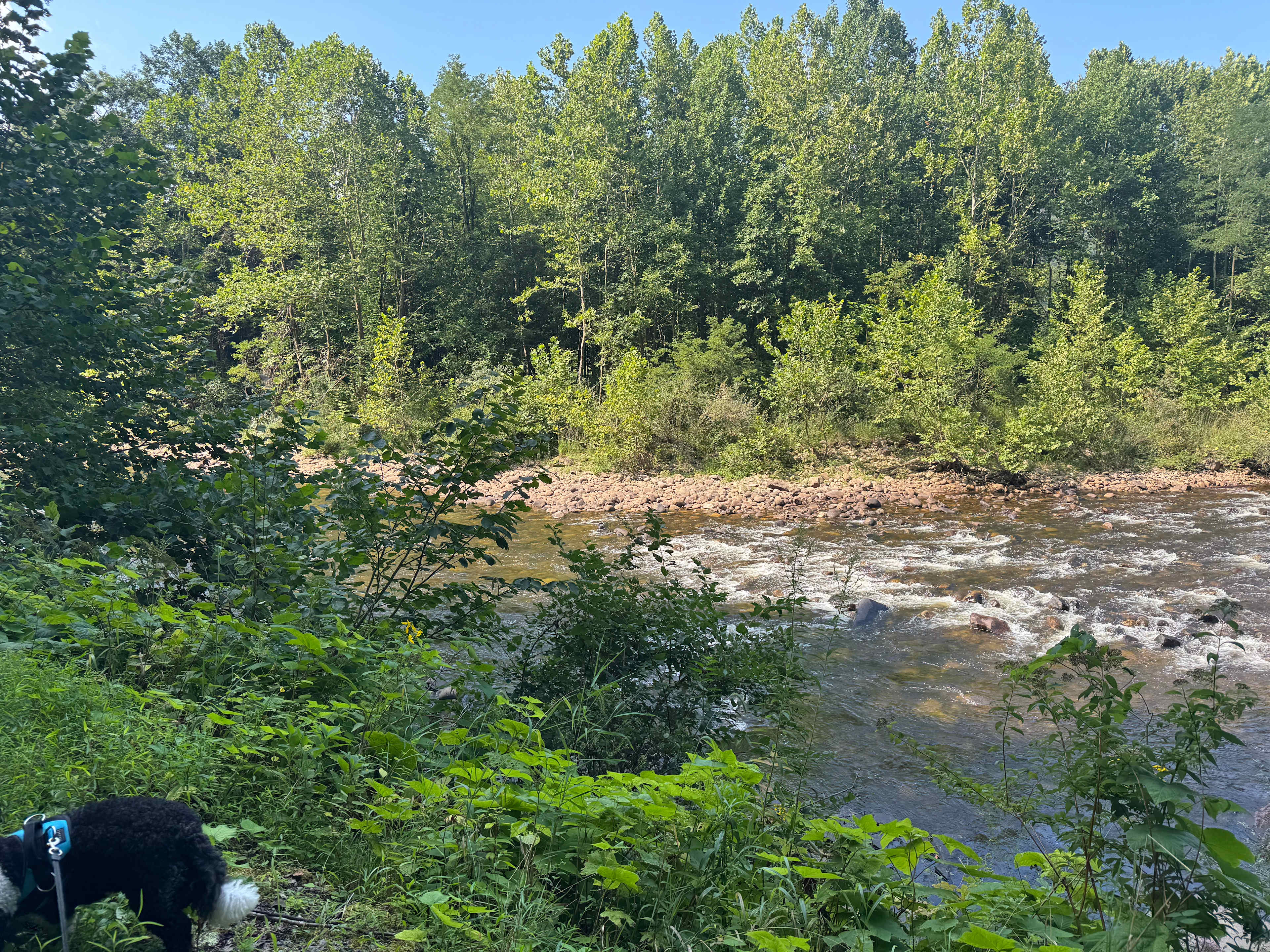 Brooklyn Heights Riverfront Camp