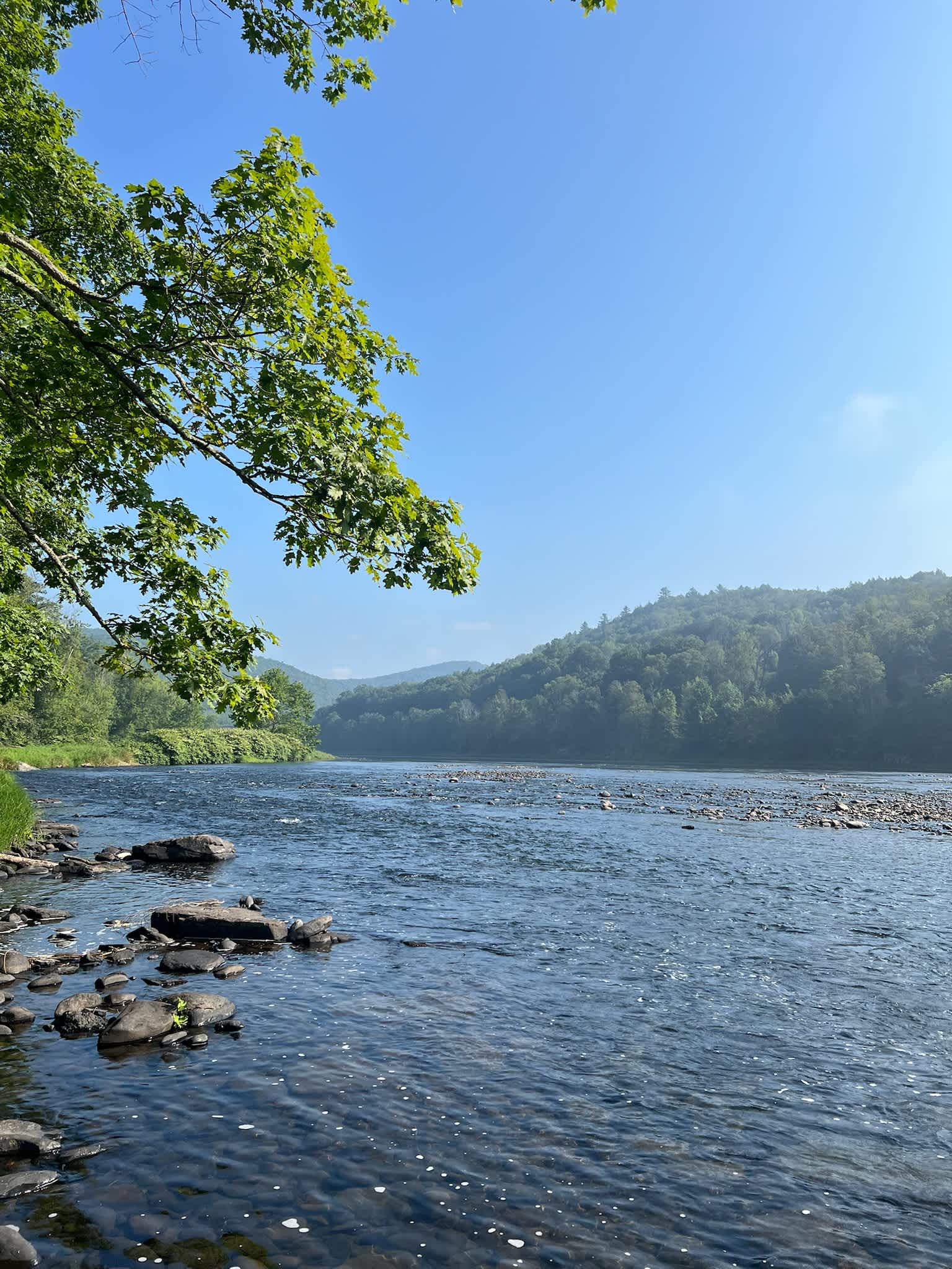 NEWE - Equinunk Campground