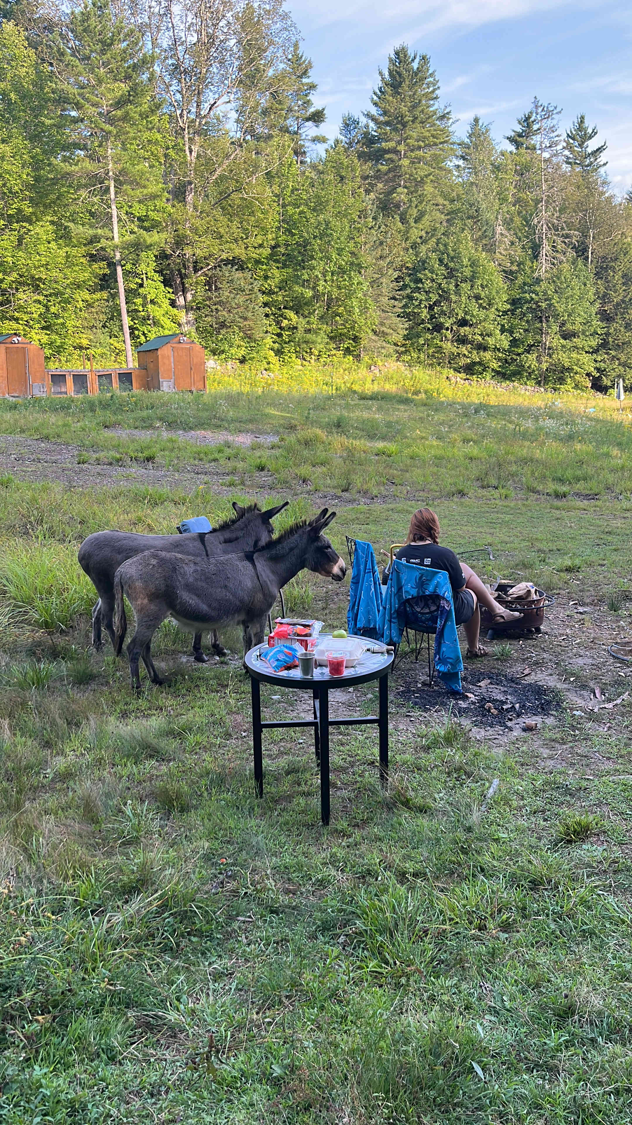 Willoughby Farm Animal Rescue