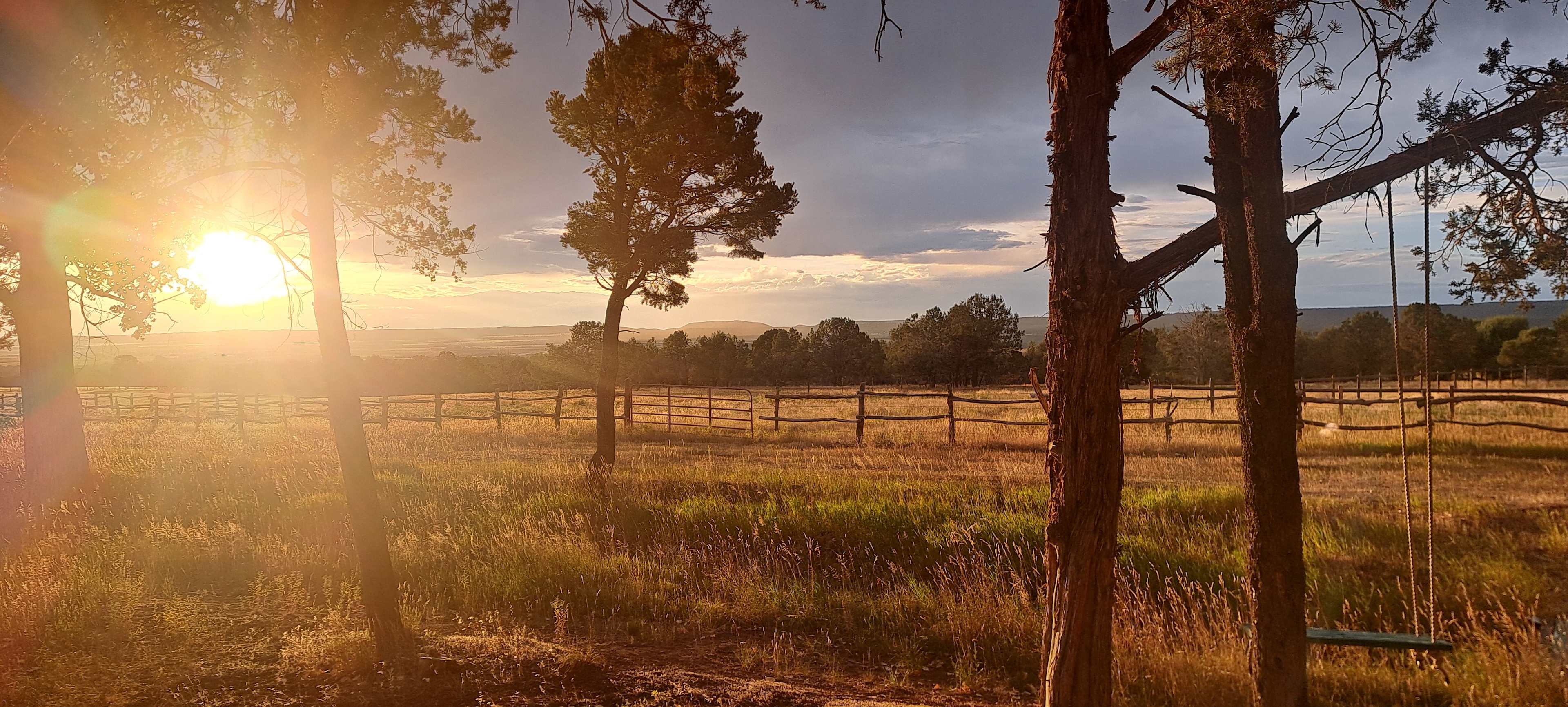 The Art Shack A Tiny Glamping Cabin