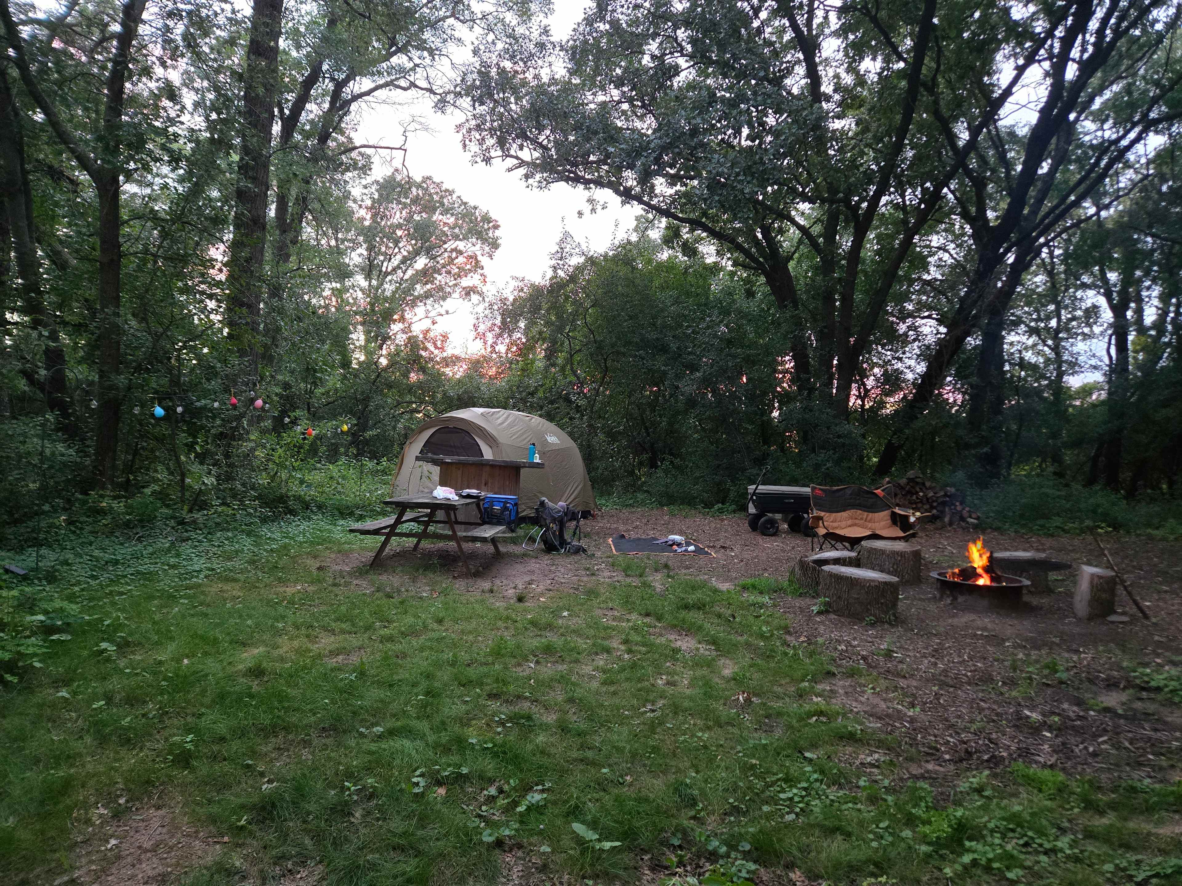 Two Bees & A Bud, Flower Farm Camp