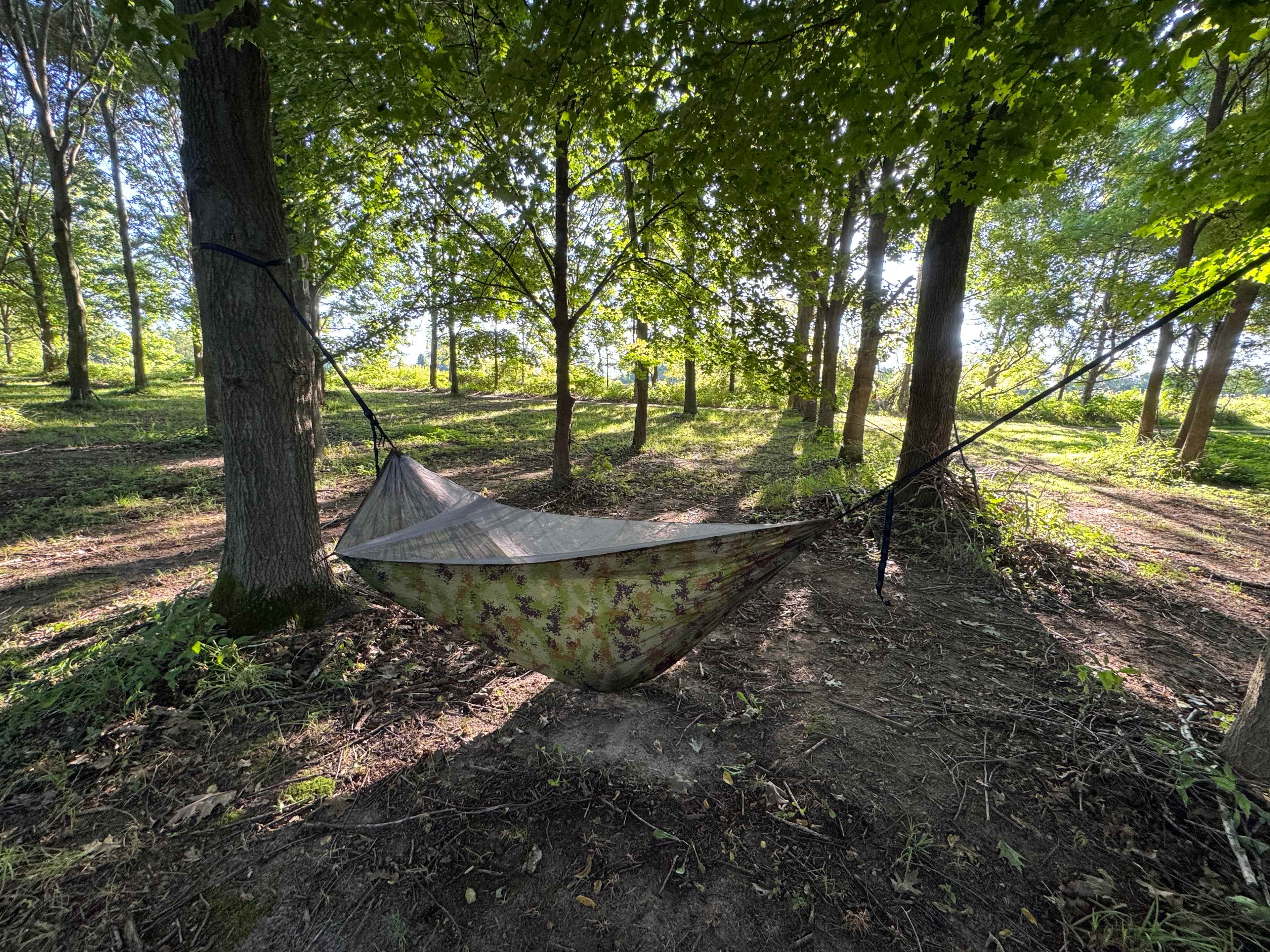 Not a bad scene to wake up to..