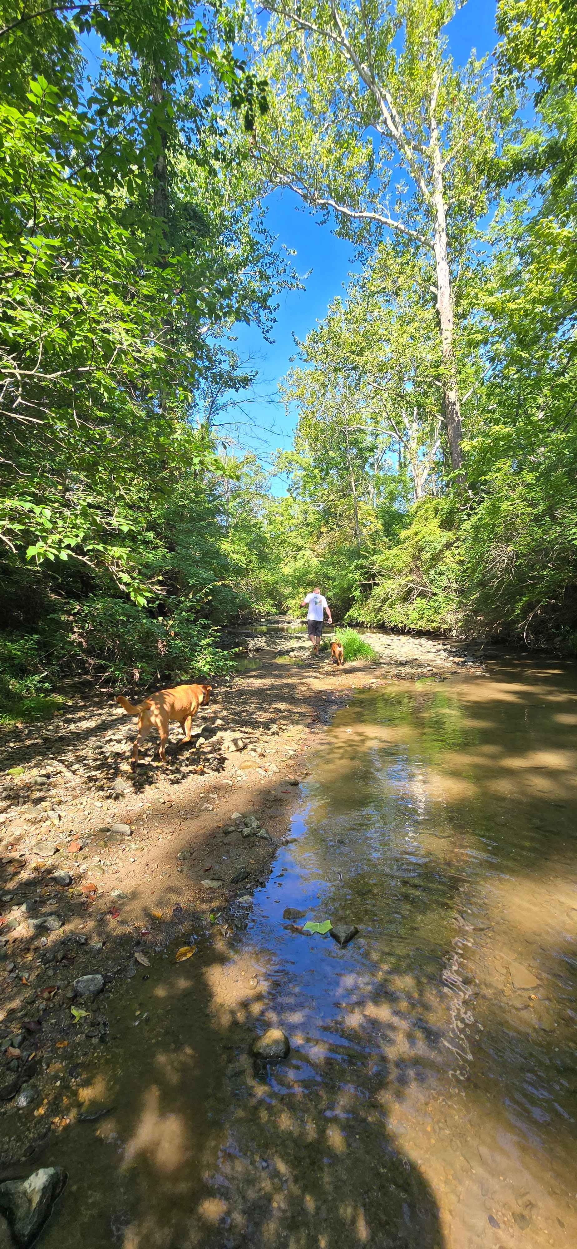 The Land of Milk And Honey