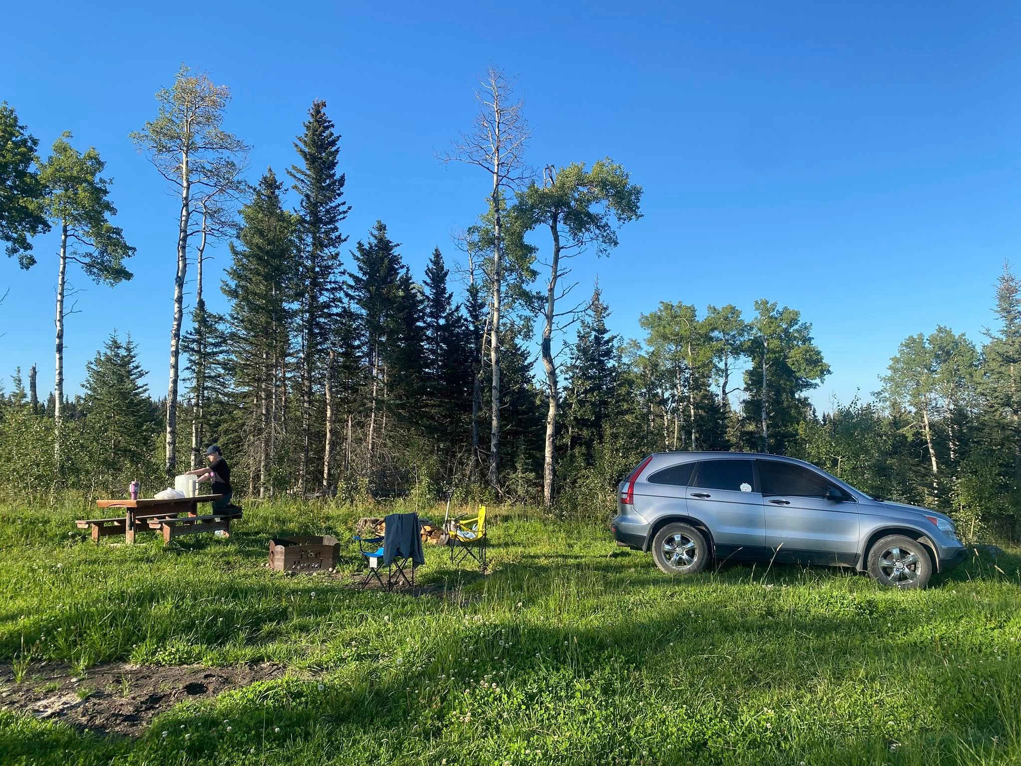 Spacious and quiet campsite.