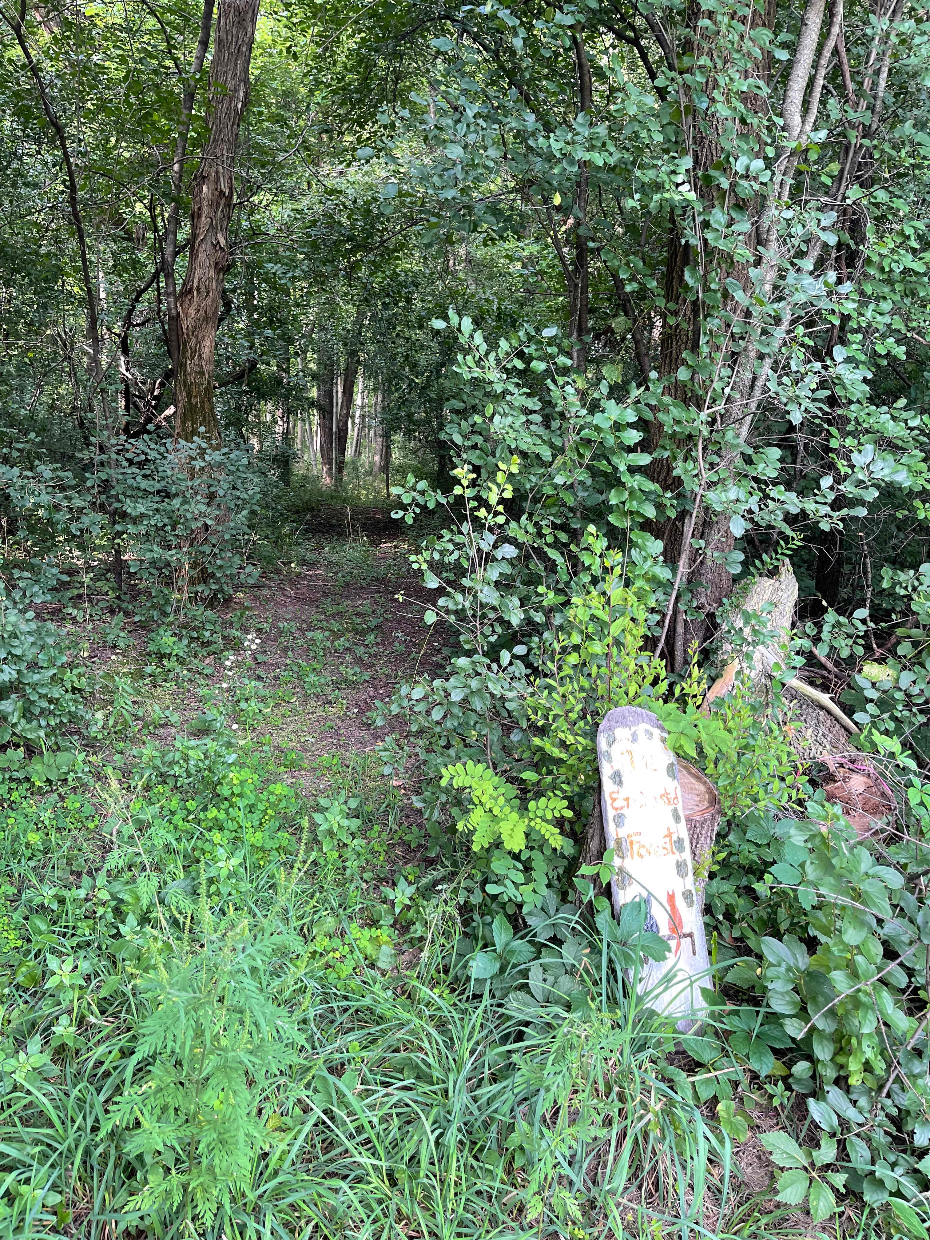 Cute little trail labeled the Enchanted Forest. 