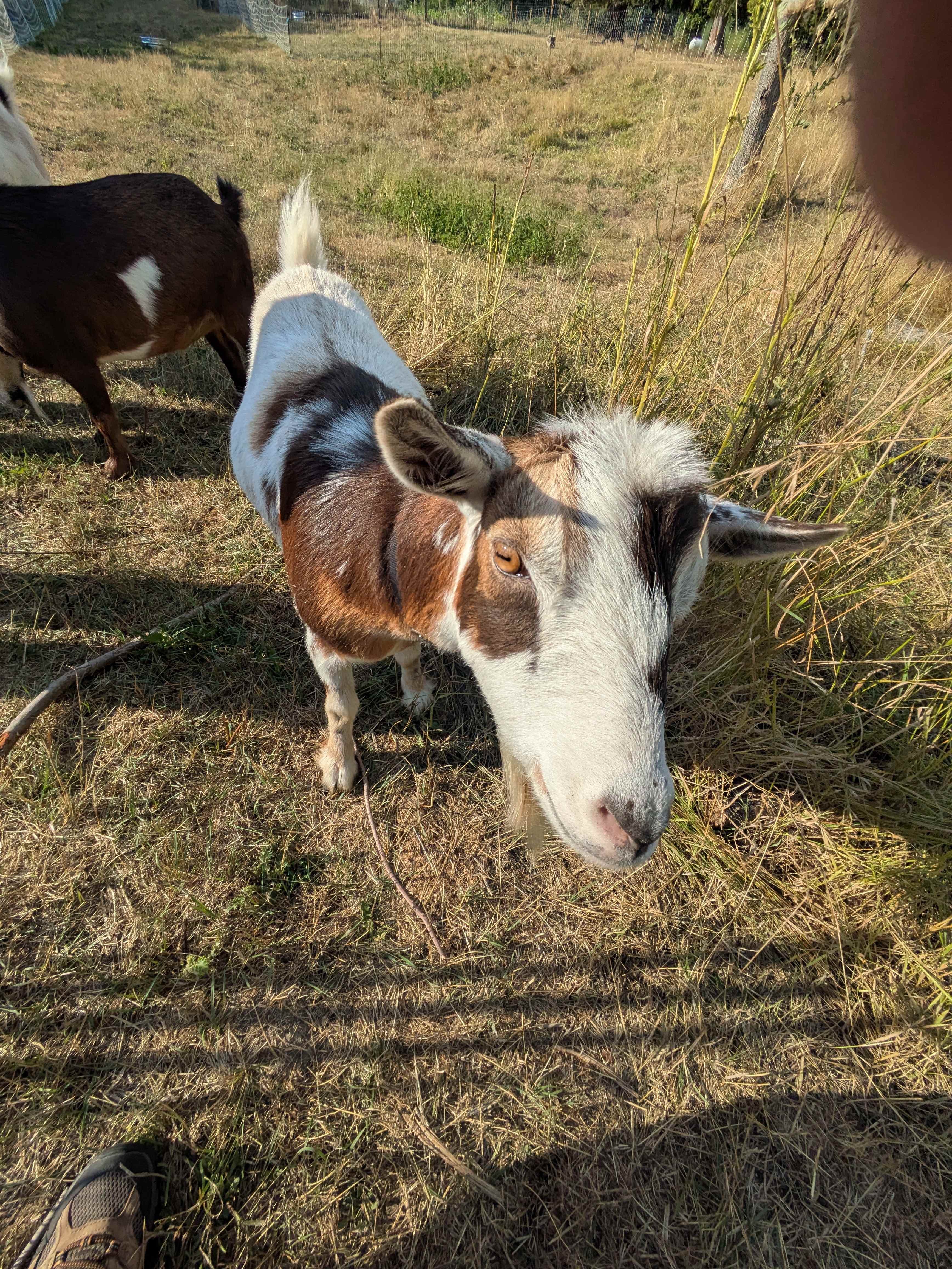 The Back Four at Dun Tun