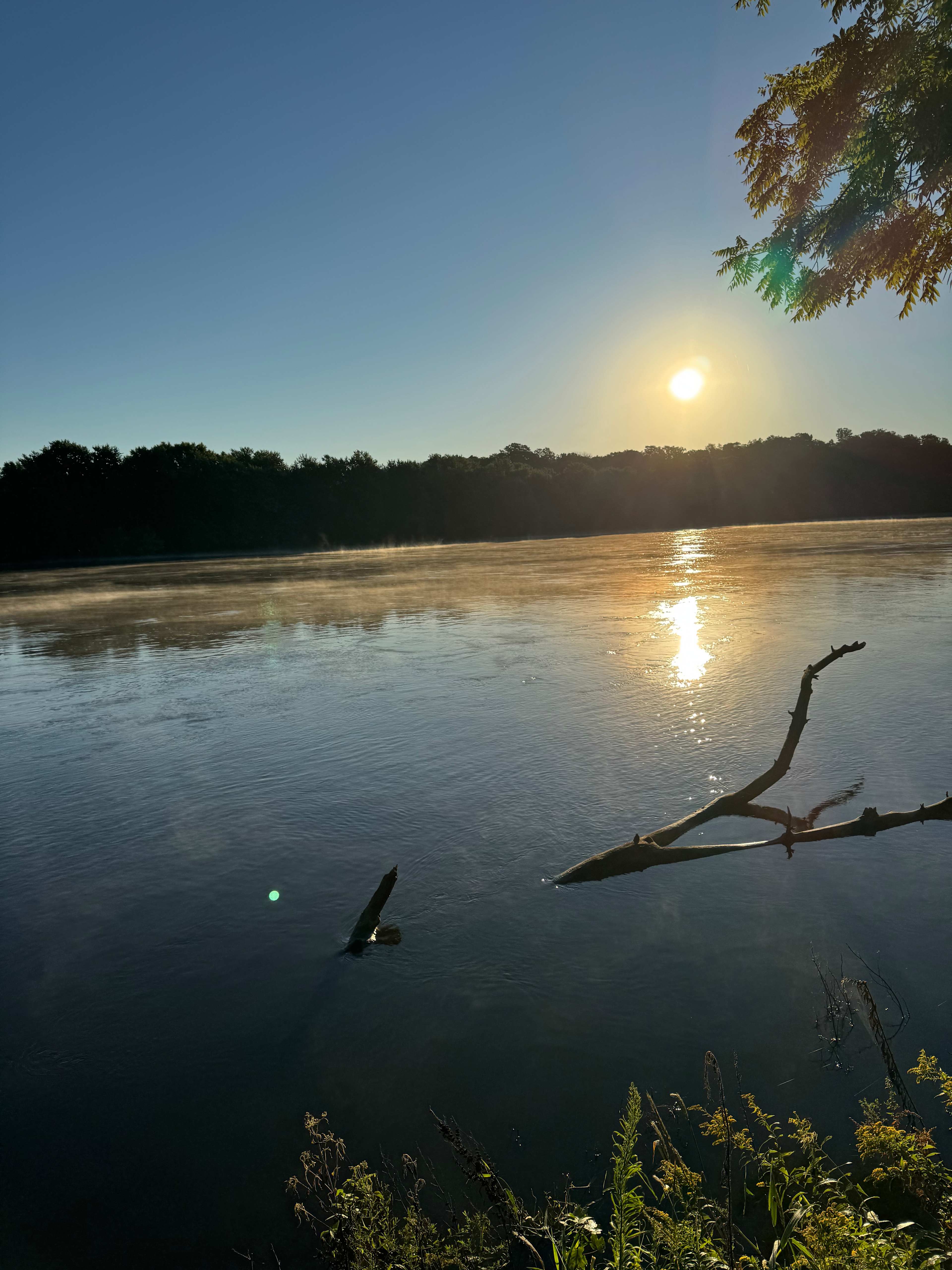 Draco Hill Nature Farm