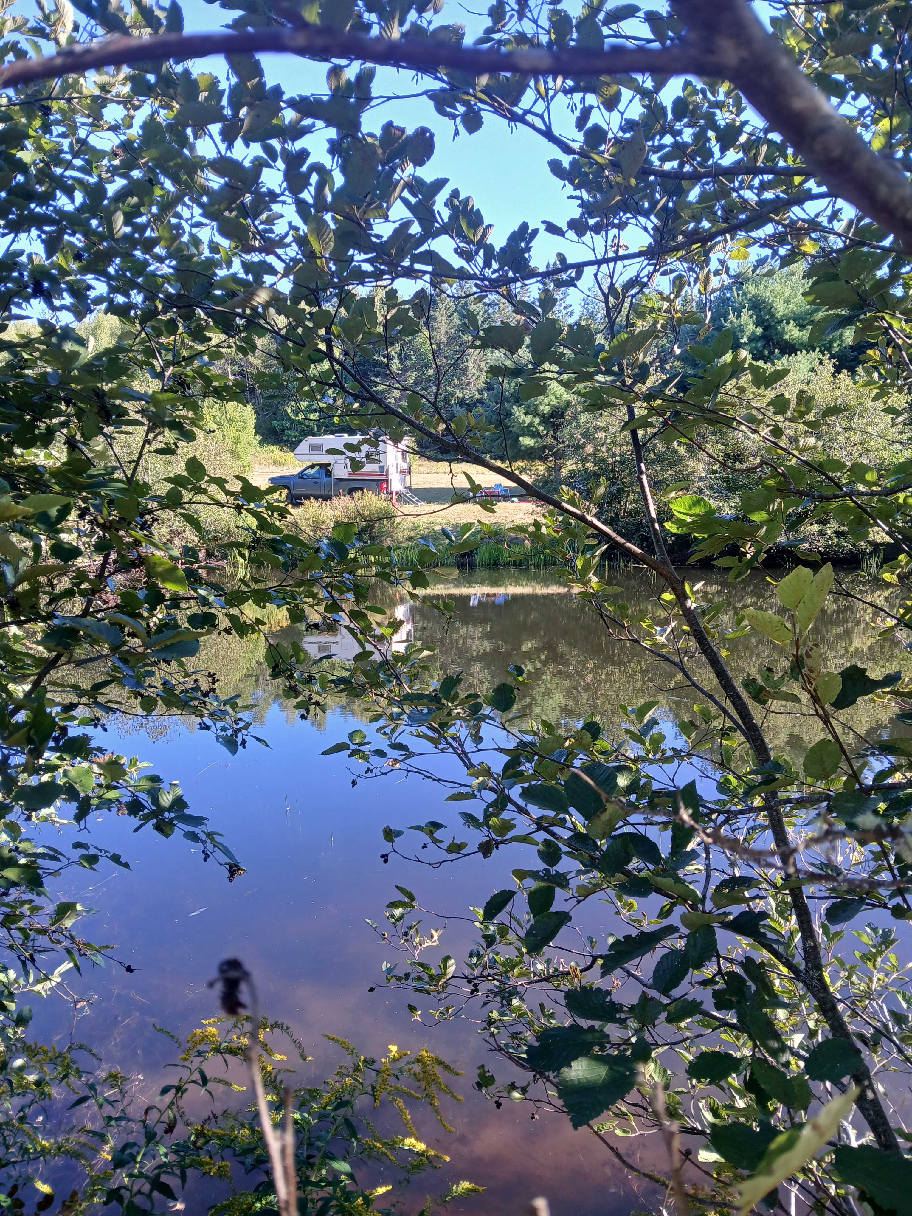 Maple Lane Hive and Home