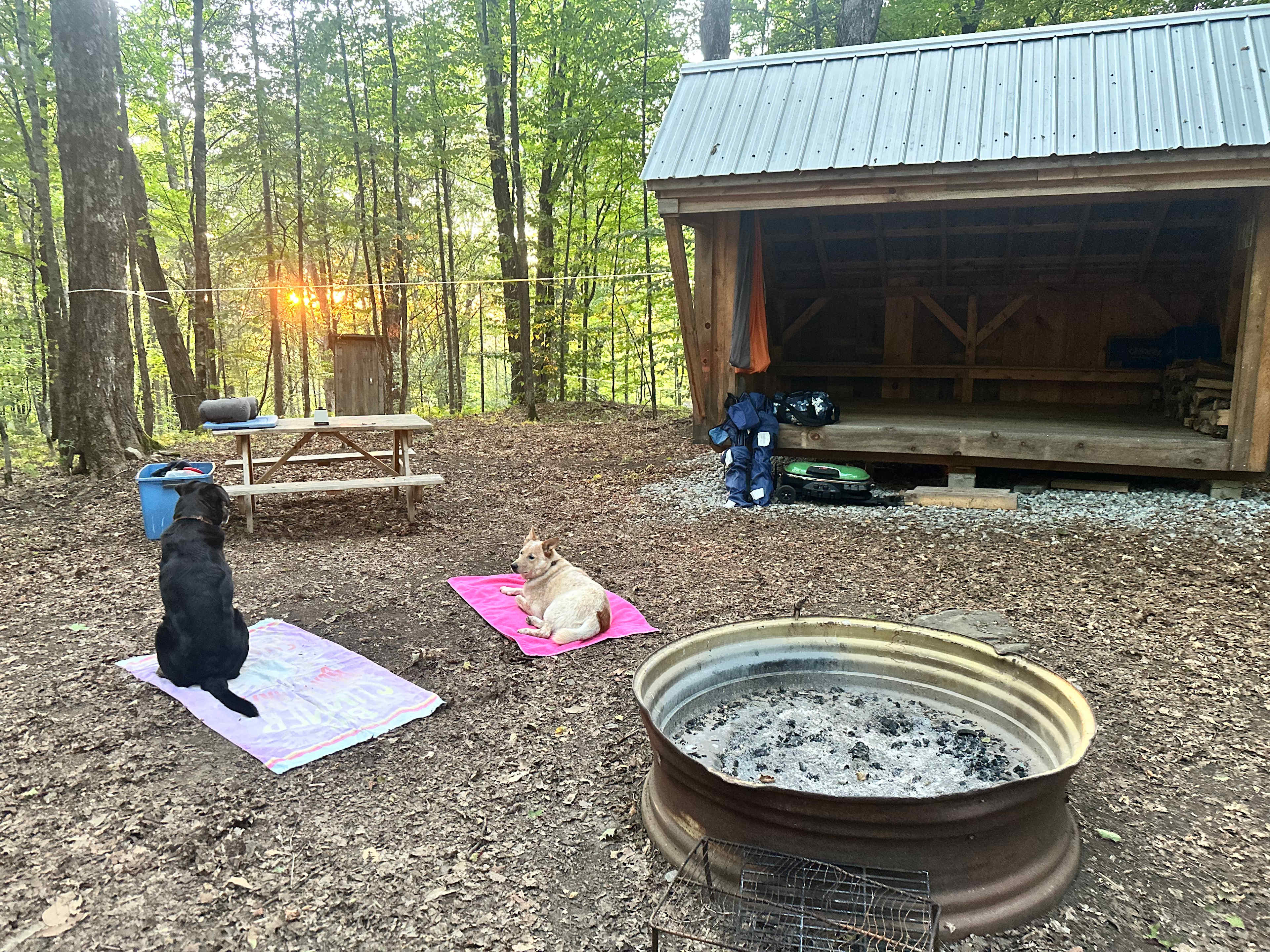 Maple Hollow Shelter